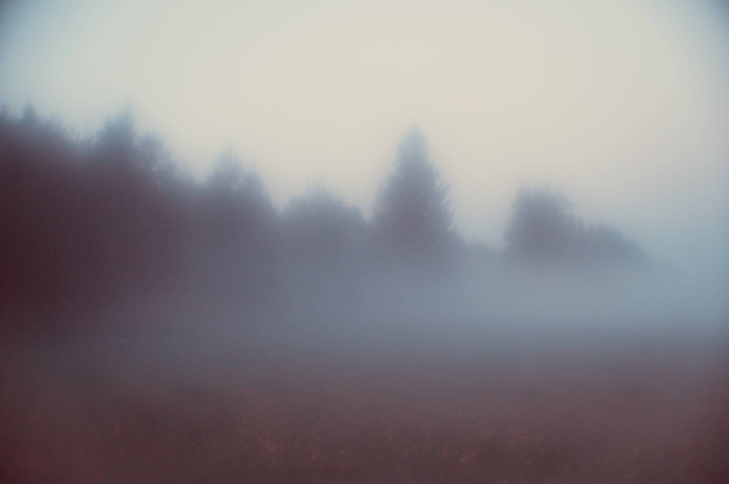 MINIMALISTIC LANDSCAPES. International visual artist