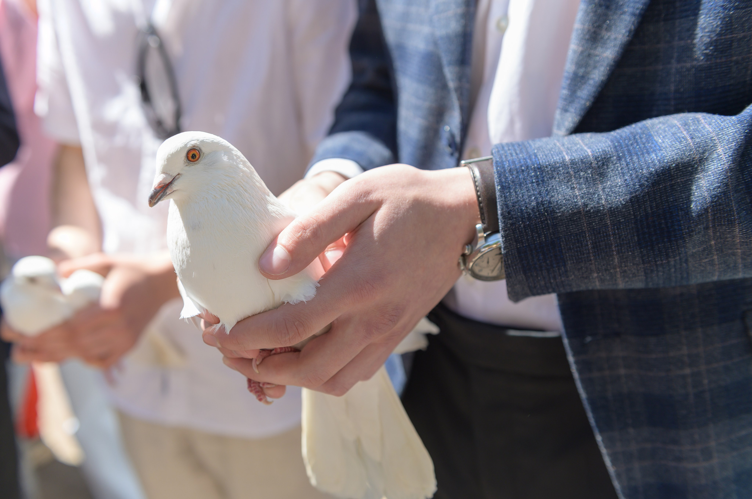 Фотограф на школьный выпускной