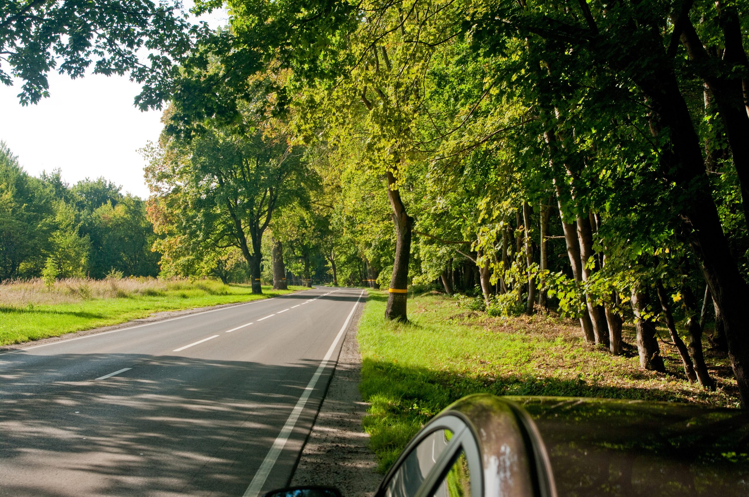 Поездка в Калининград. Портретный и семейный фотограф Алексей Бекетов