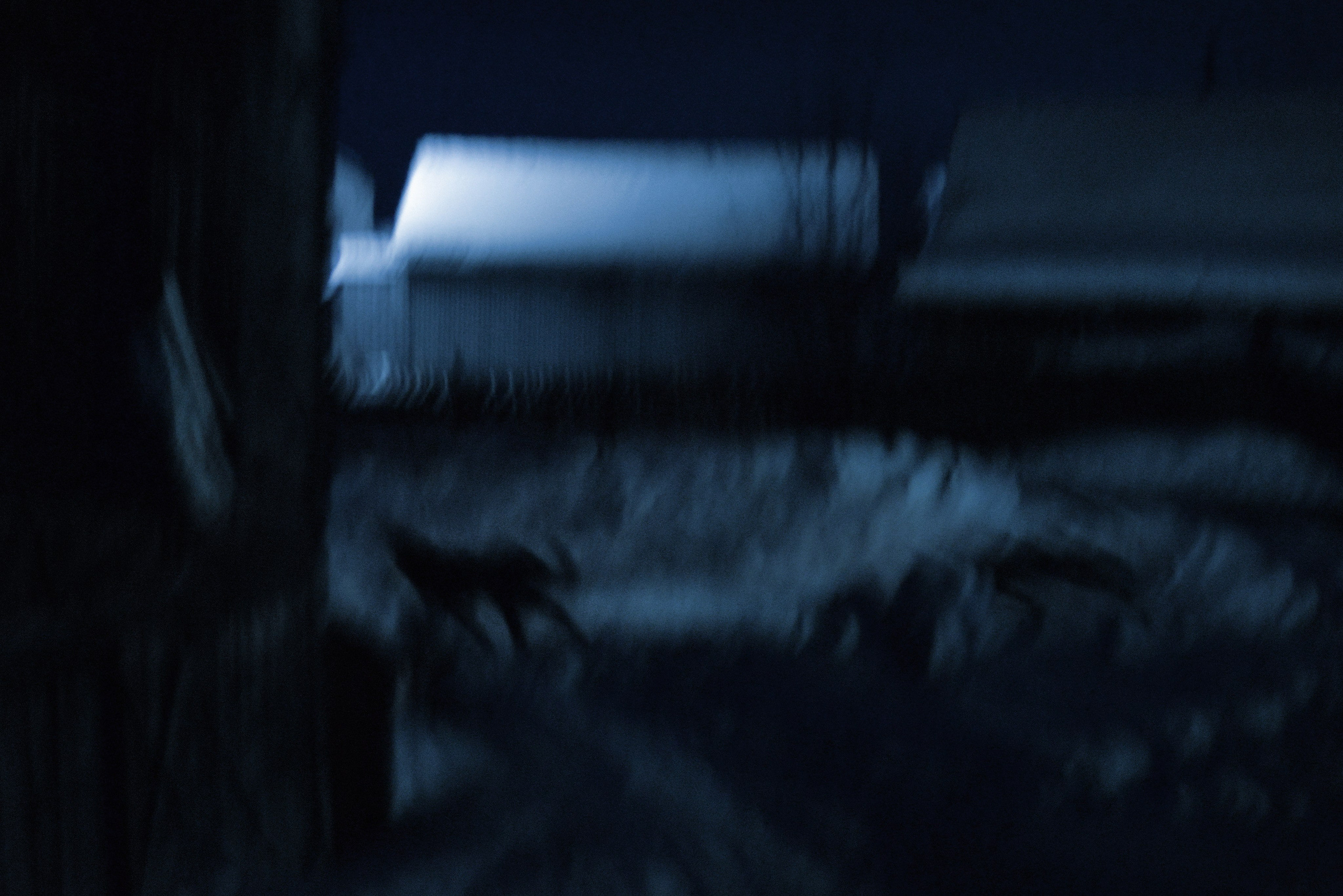 Дарья Пянзина | междисциплинарная художница