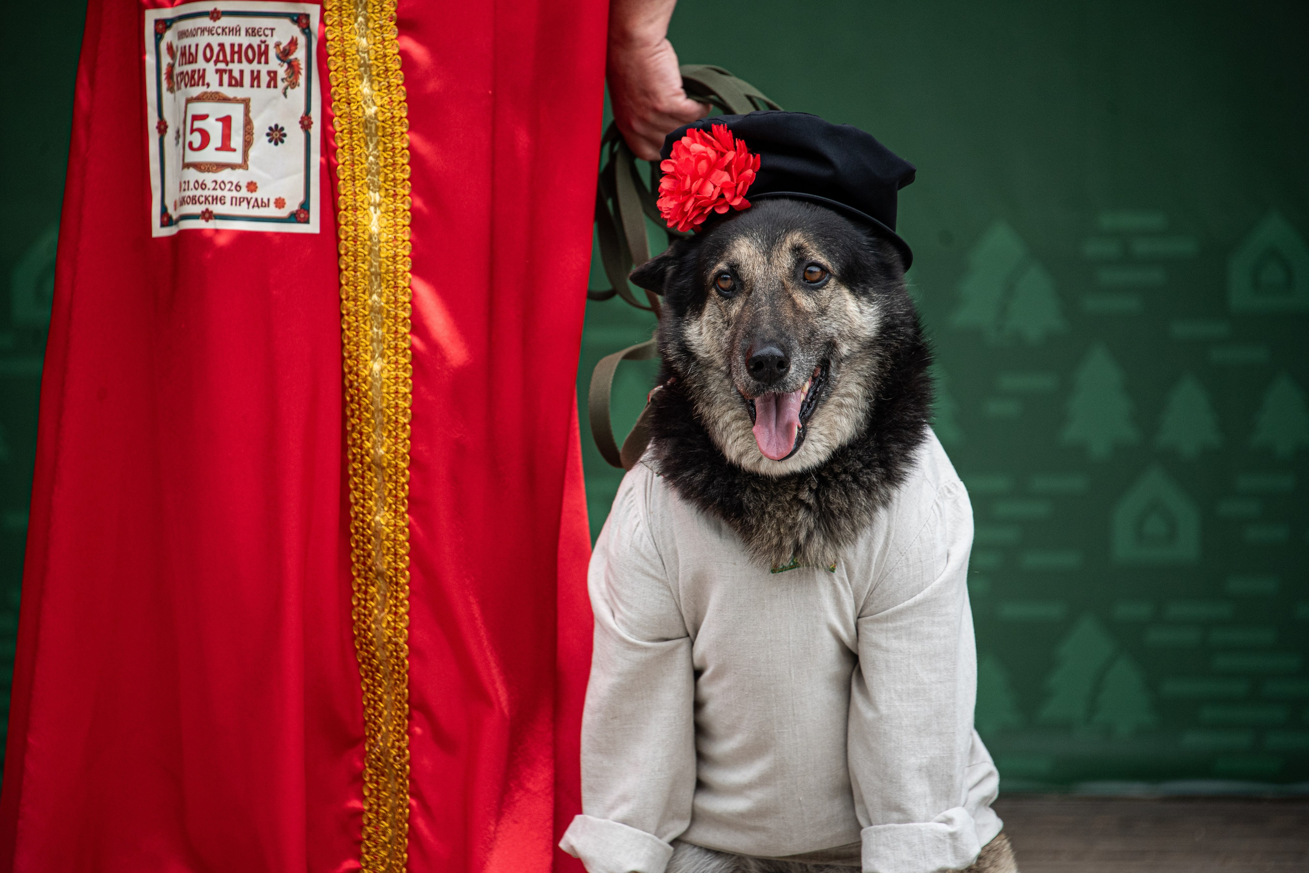 Прайс. Фотограф — анималист Алина Чебулаева г. Находка