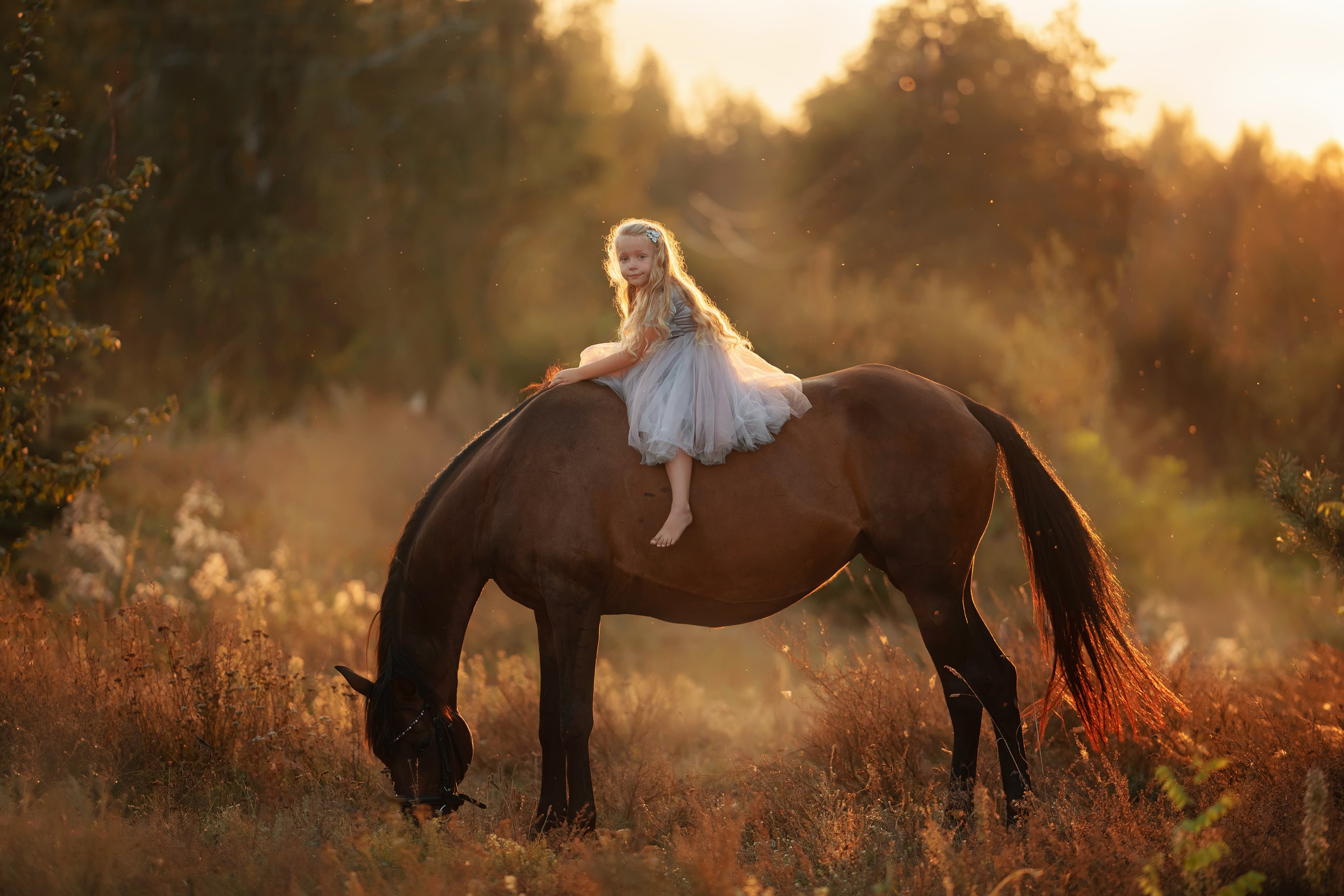 Каталог лошадей и других животных доступных для аренды. Фотограф Вероника Ранцева, фотосессии с лошадьми в Минске и Могилеве