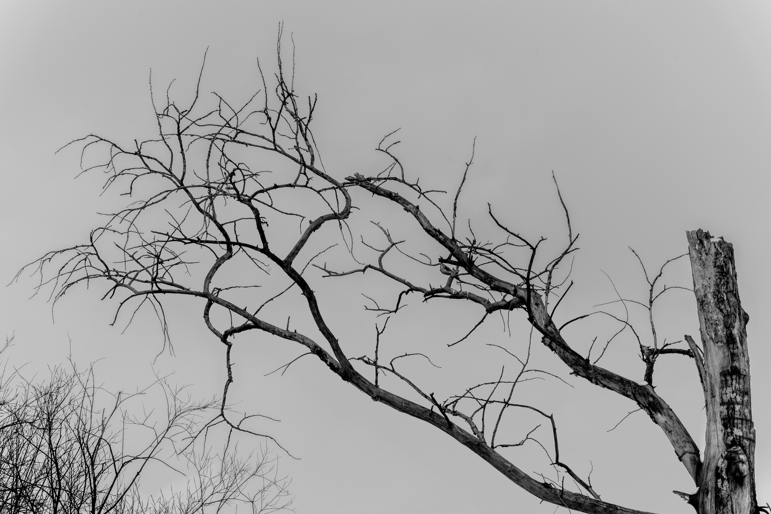 Прогулка до Мичуринских прудов. Фотограф Евгений Серебряков в Екатеринбурге