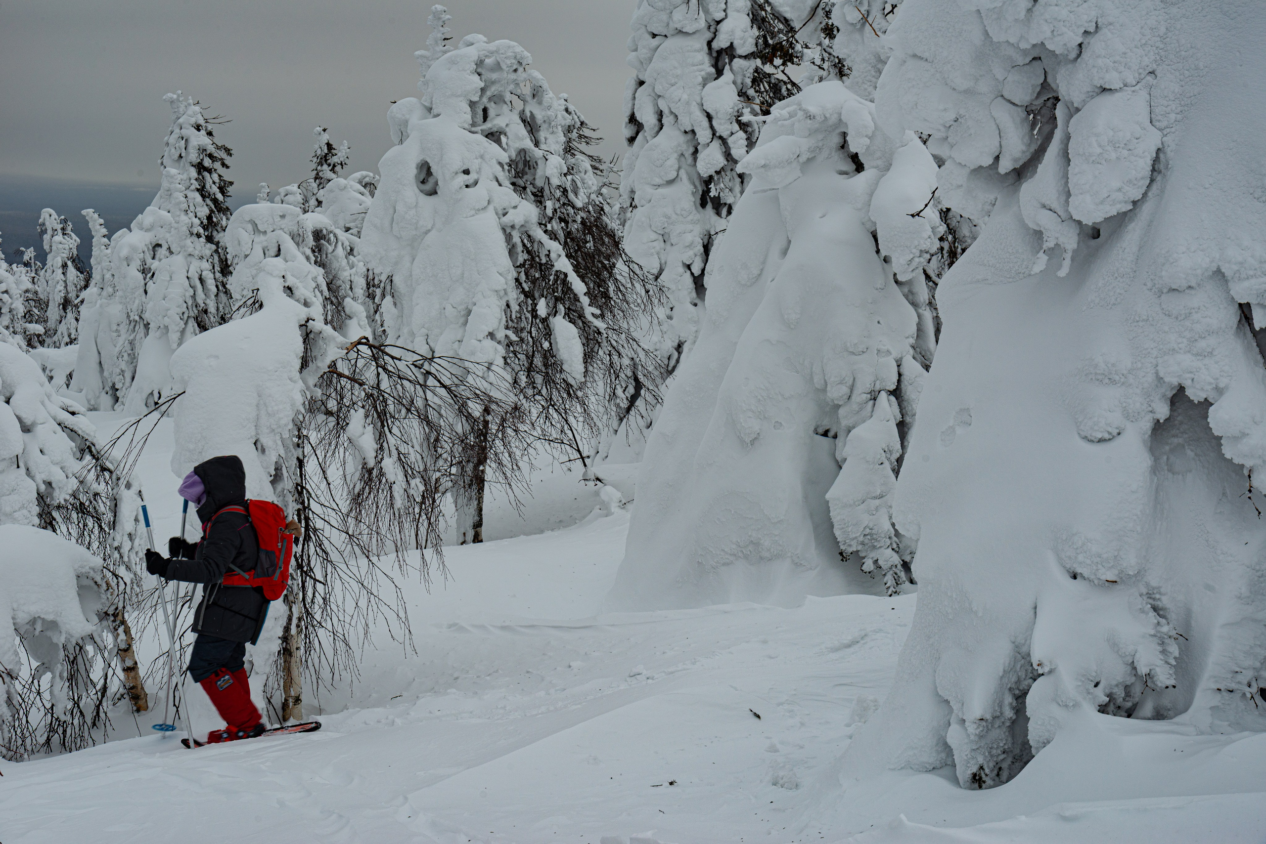 Путешествие в Кын и Красновишерск. Пермский край. Фотограф Евгений Серебряков в Екатеринбурге