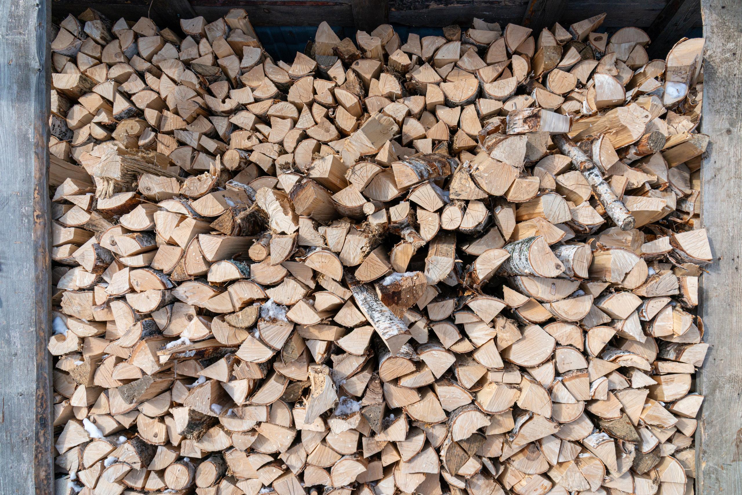 Прогулка до Мичуринских прудов. Фотограф Евгений Серебряков в Екатеринбурге