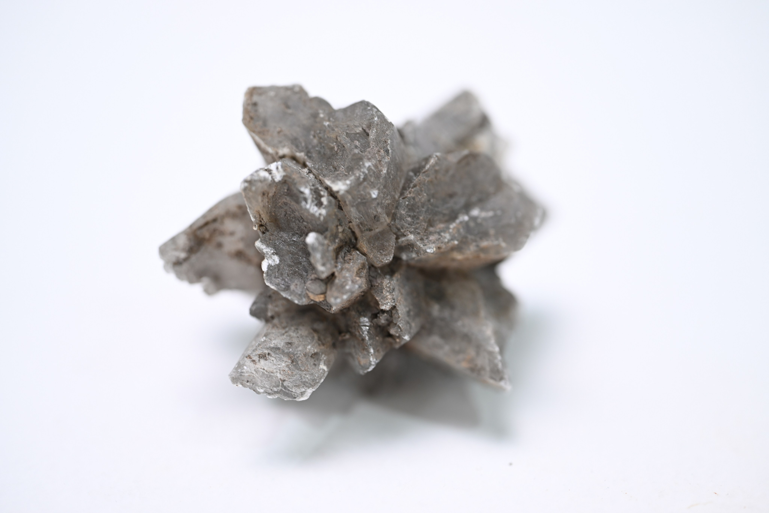 Curriculum Vitae. Home