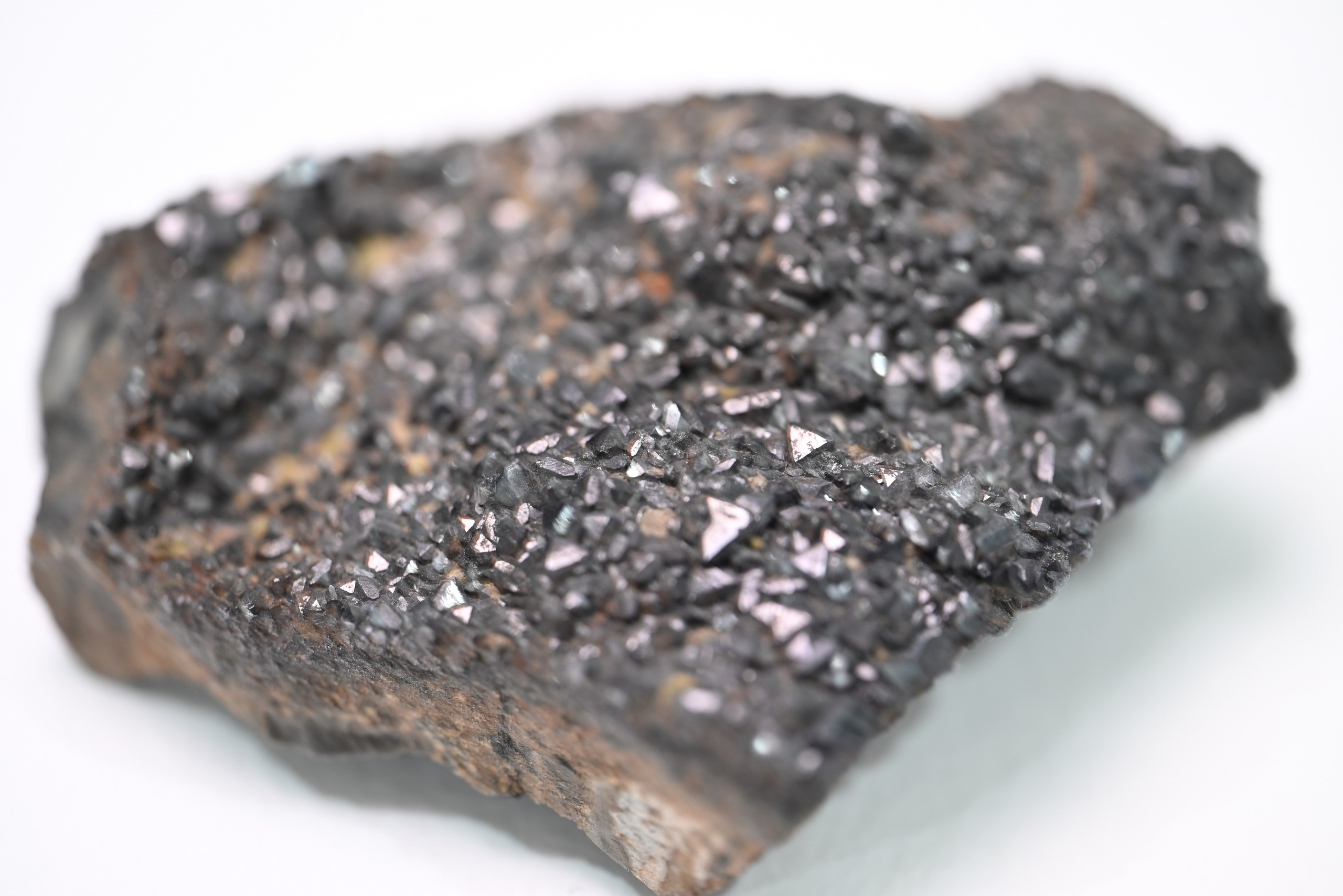 Curriculum Vitae. Home