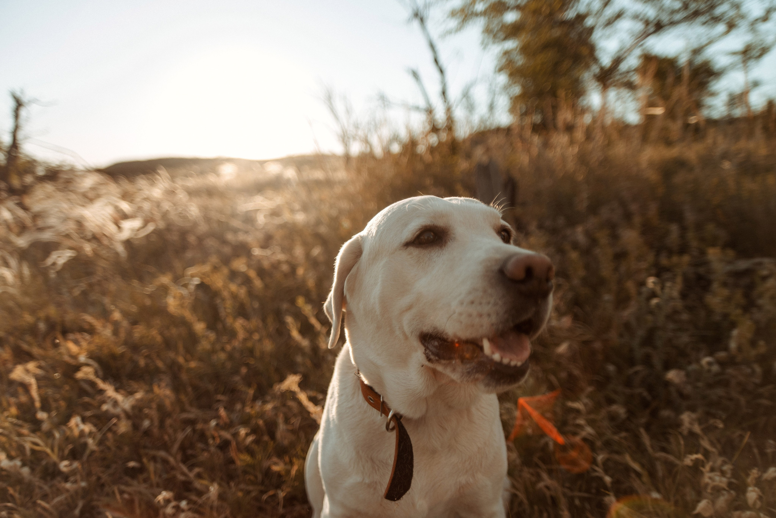 СОВЕТЫ ДЛЯ ФОТОСЕССИИ С ДЕТЬМИ. Семейный документальный фотограф в Волгограде Мариэта Додина