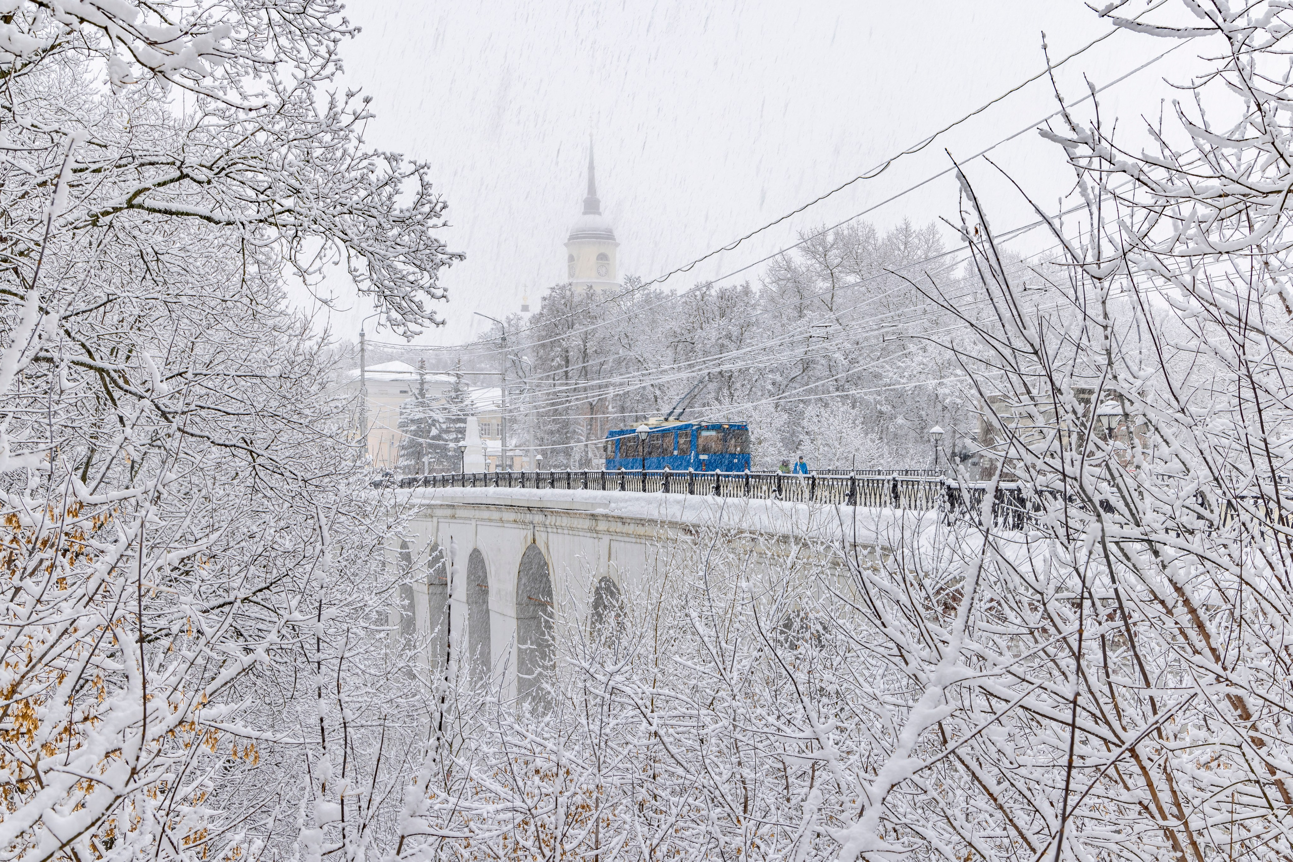 Голосование. Калужский городской фотоконкурс
