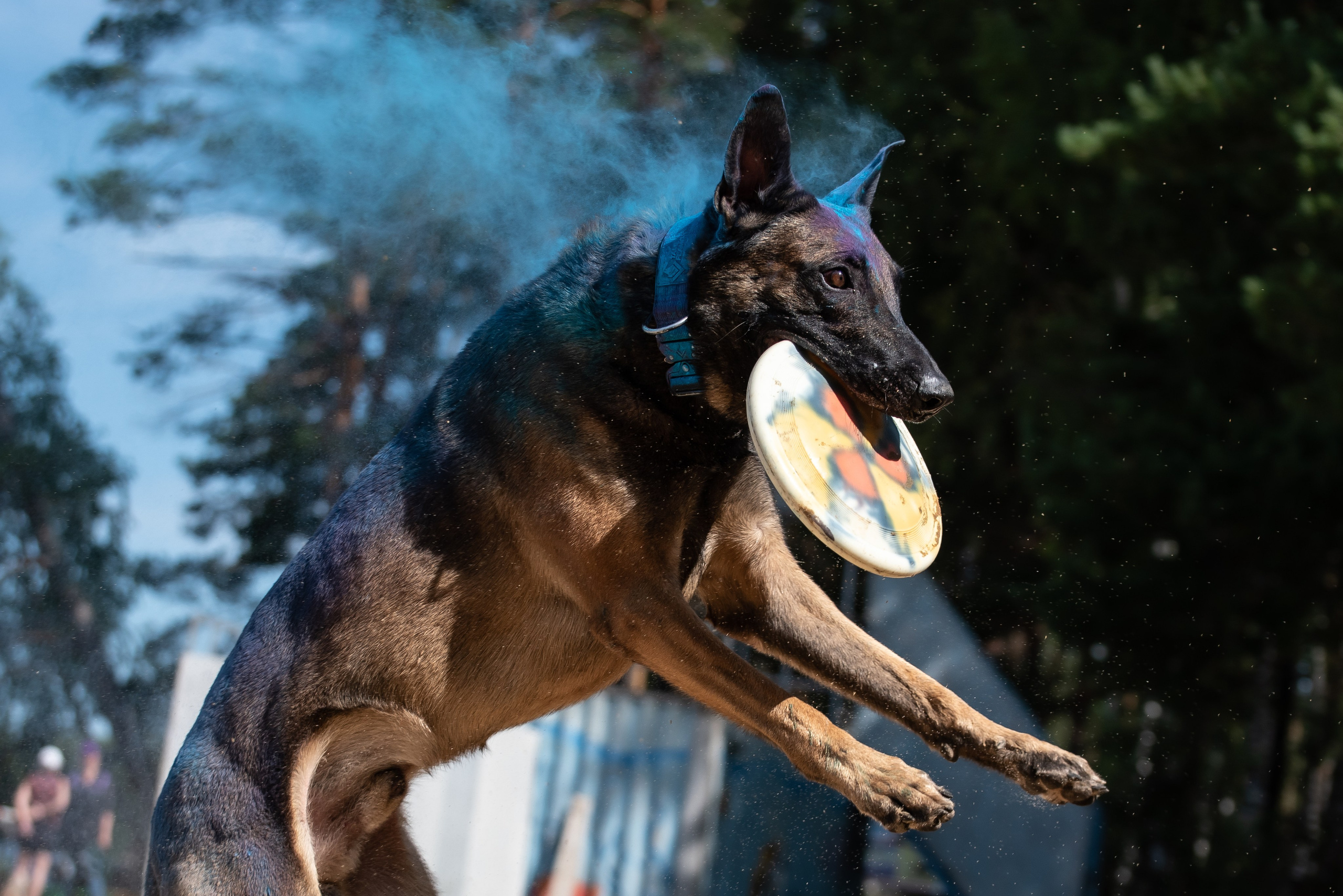 Фотосессия в летнем Кинологическом лагере