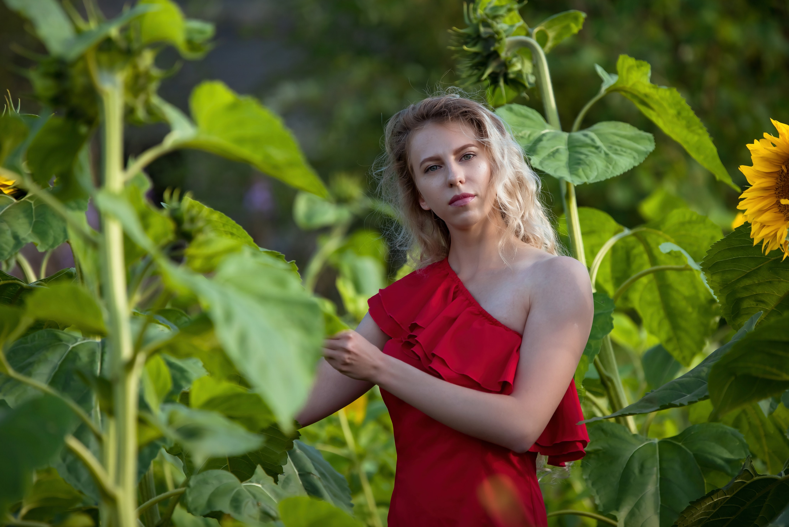 Девушка в подсолнухах в красном платье