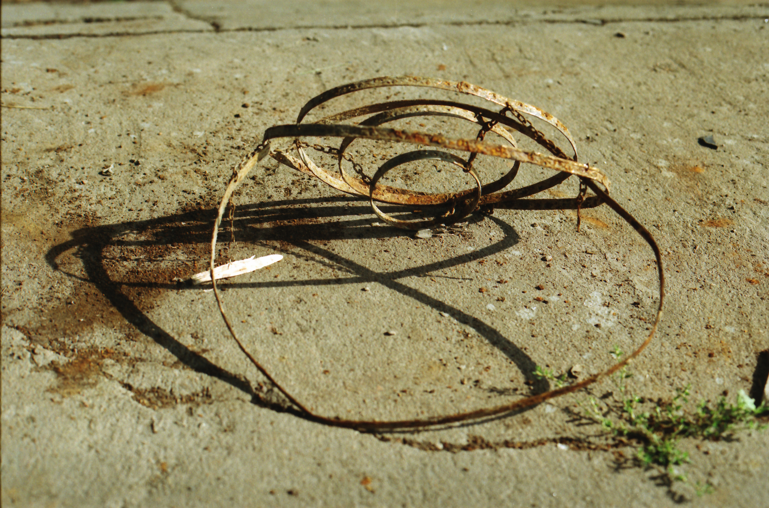 Красненькая биеннале 2021 (СПБ)