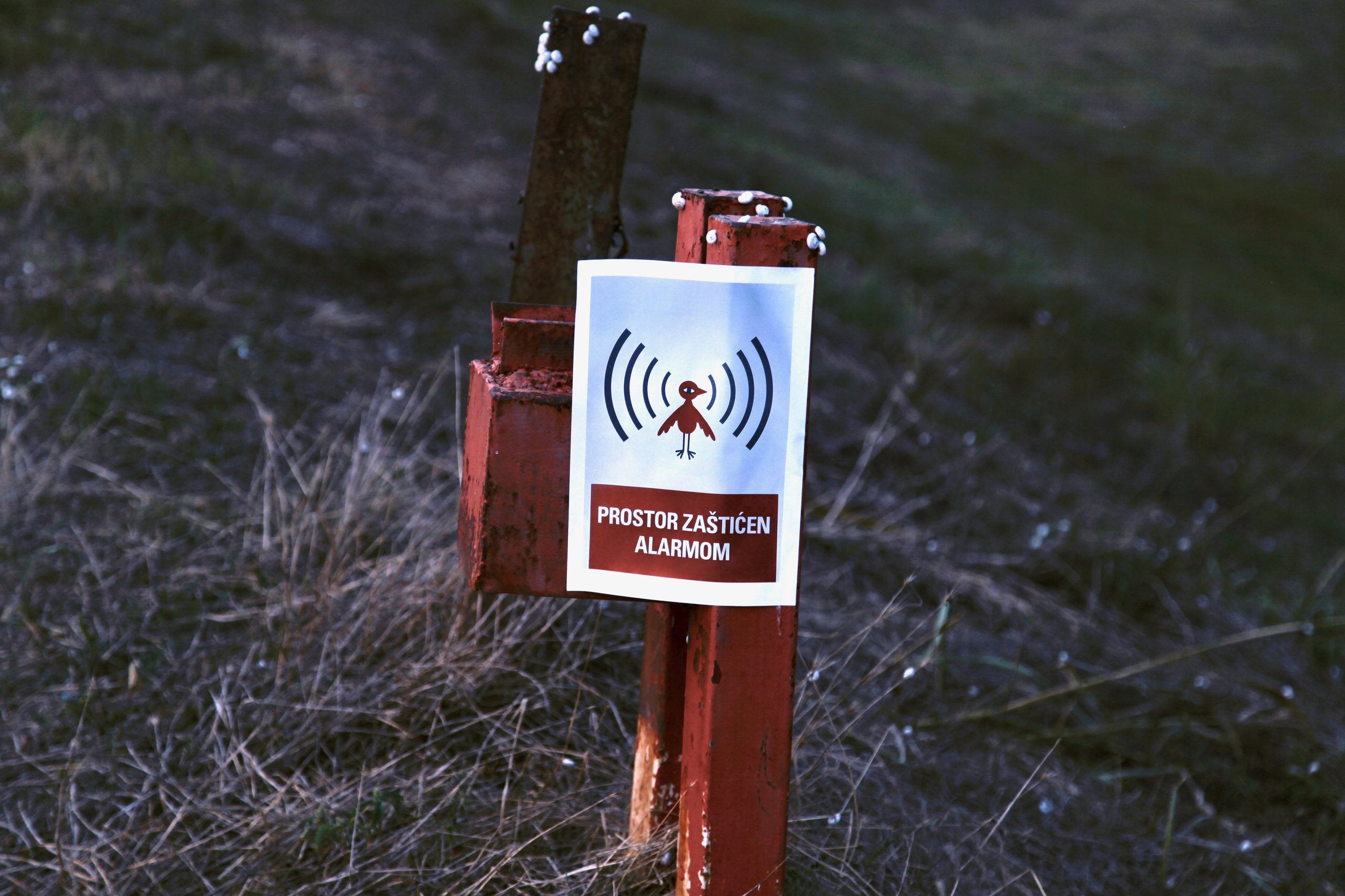 Наталия Бабинцева — ВЫДЕЛЕННАЯ ТЕРРИТОРИЯ: прогулки с N