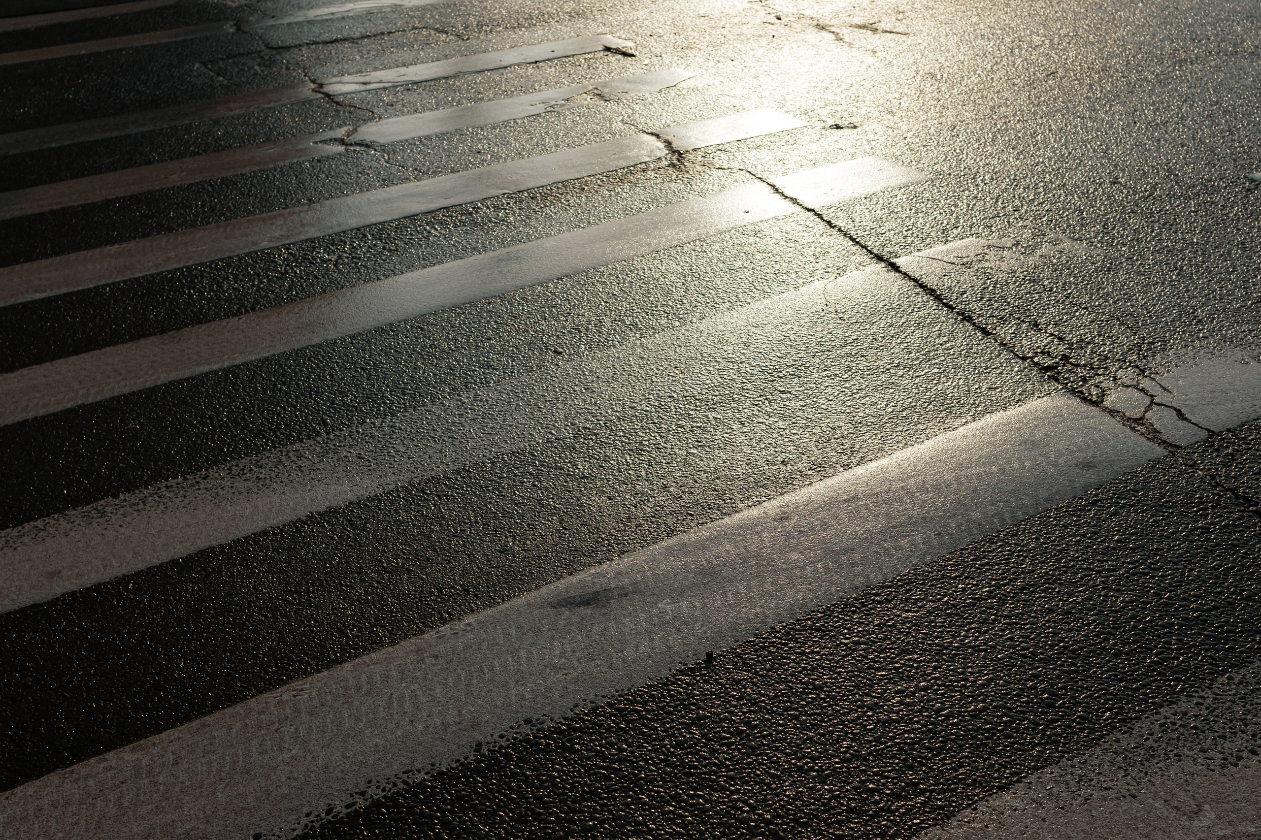 Фотограф Николай Шевченко