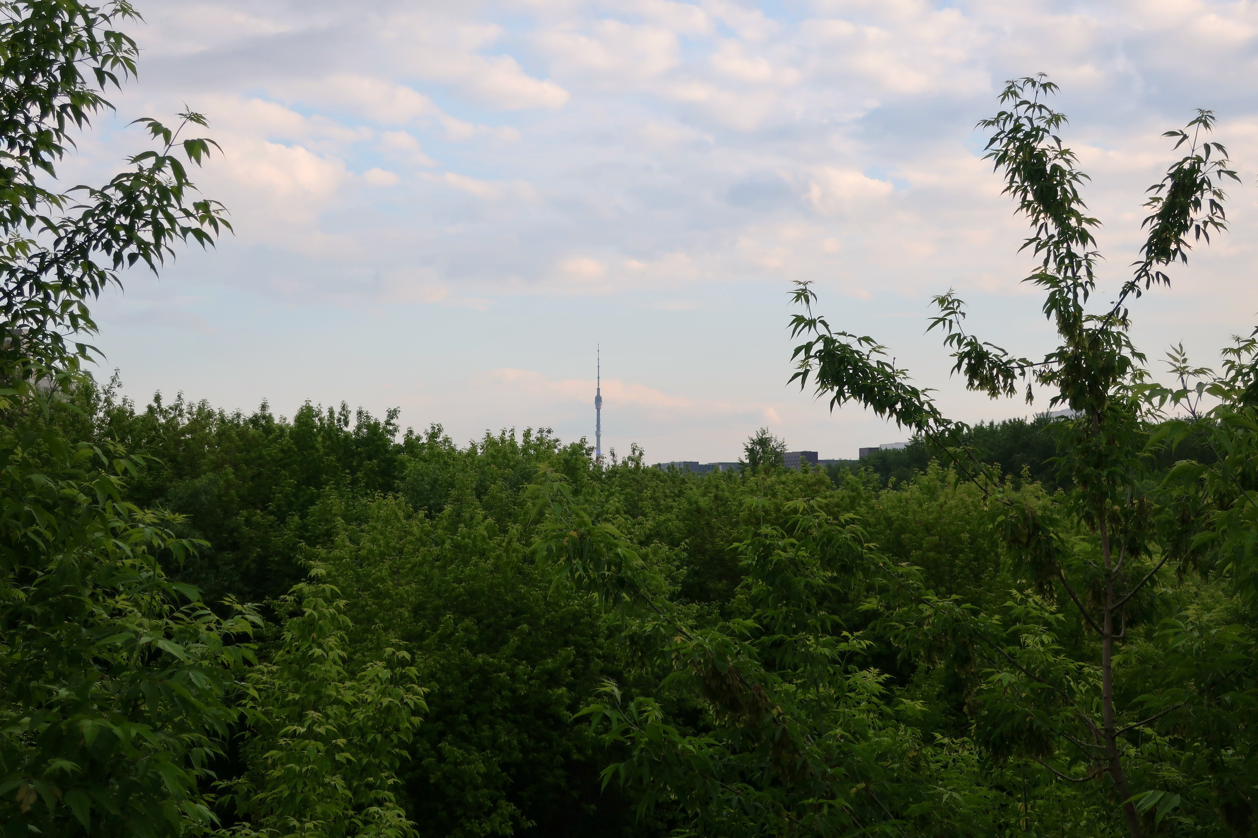 Парки Яуза, Свиблово и Свибловские пруды. Проект «Фотокладовка»: блог уличной фотографии в формате street photo
