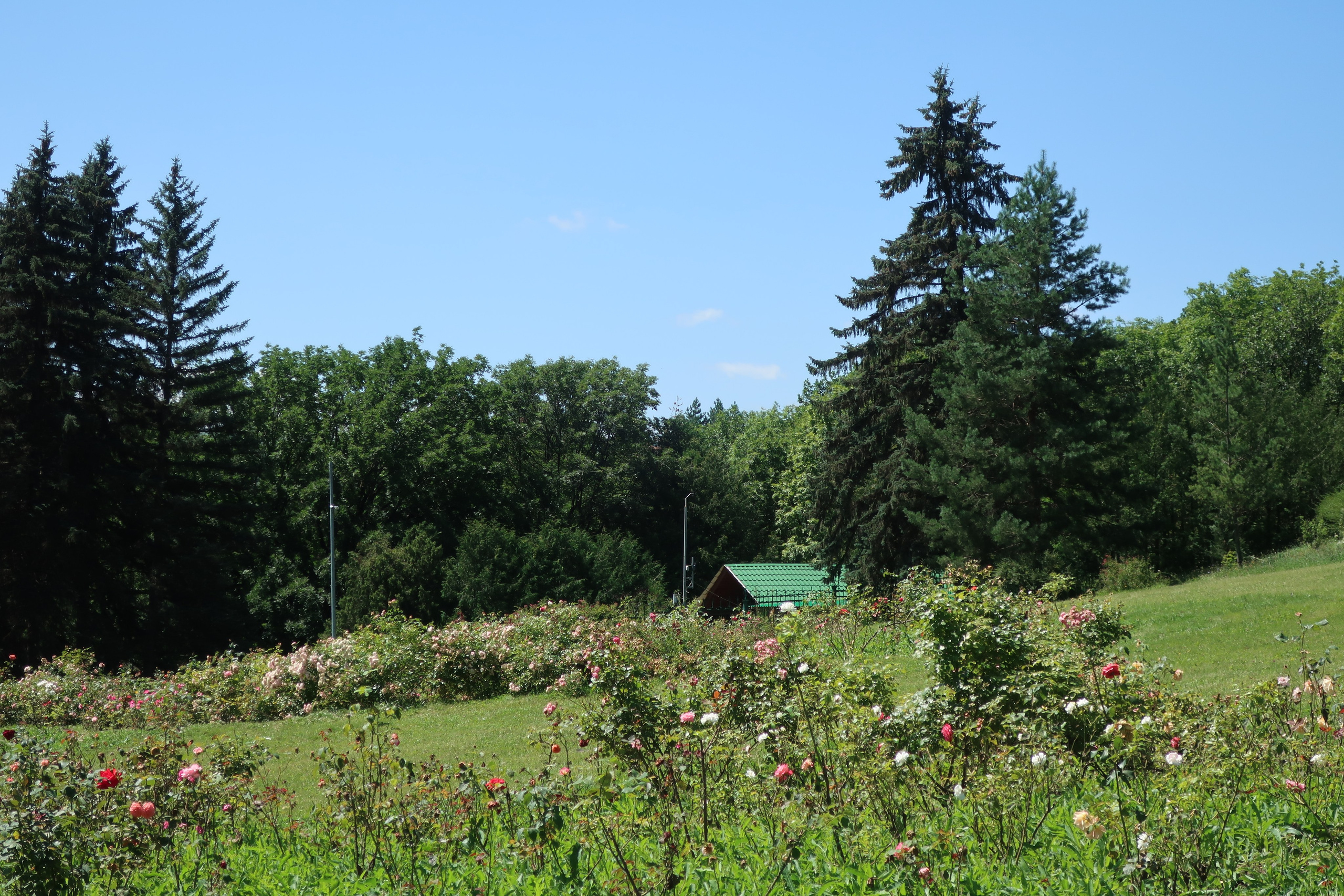 Фотопрогулка по жарким местам Кисловодска. Проект «Фотокладовка»: блог уличной фотографии в формате street photo