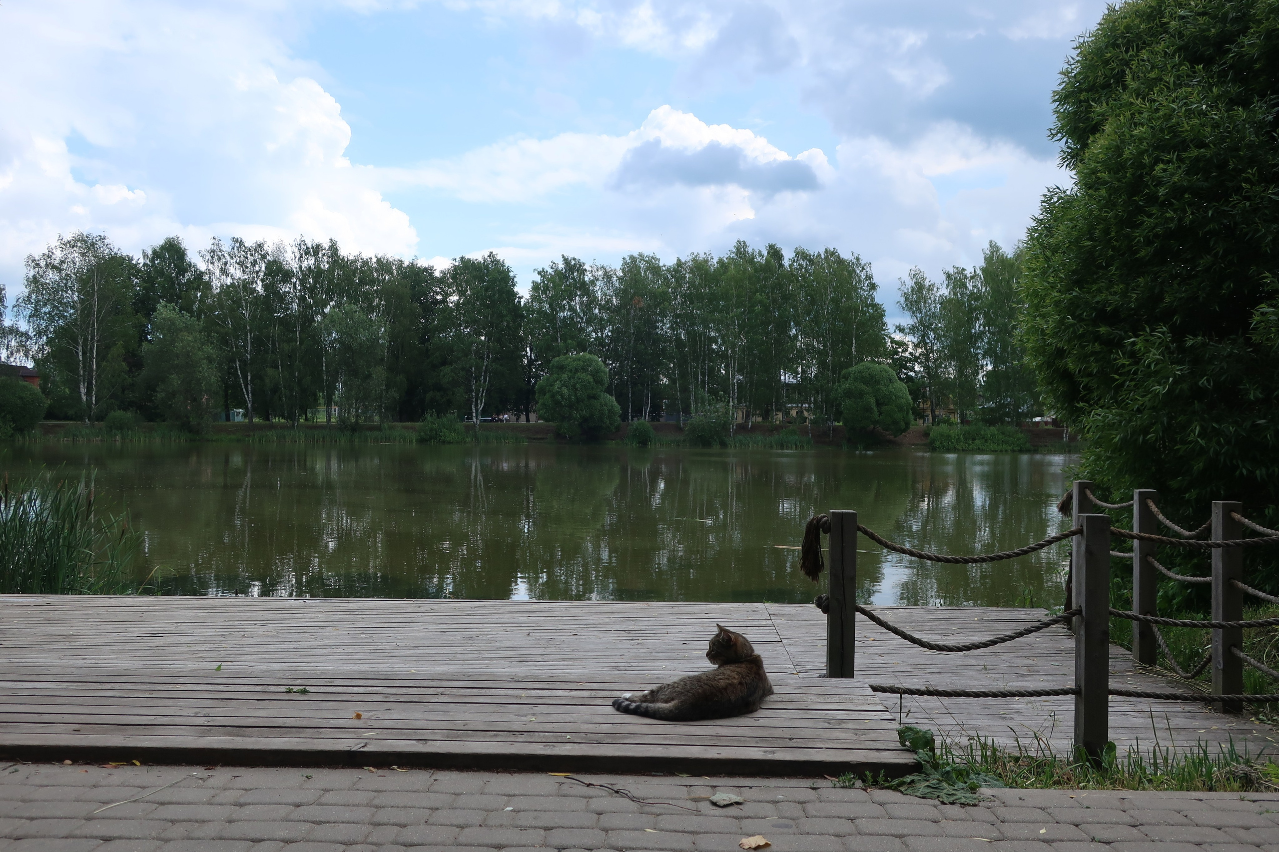Фотопрогулка по следам Левитана: чем Плёс очаровал великого художника?. Проект «Фотокладовка»: блог уличной фотографии в формате street photo