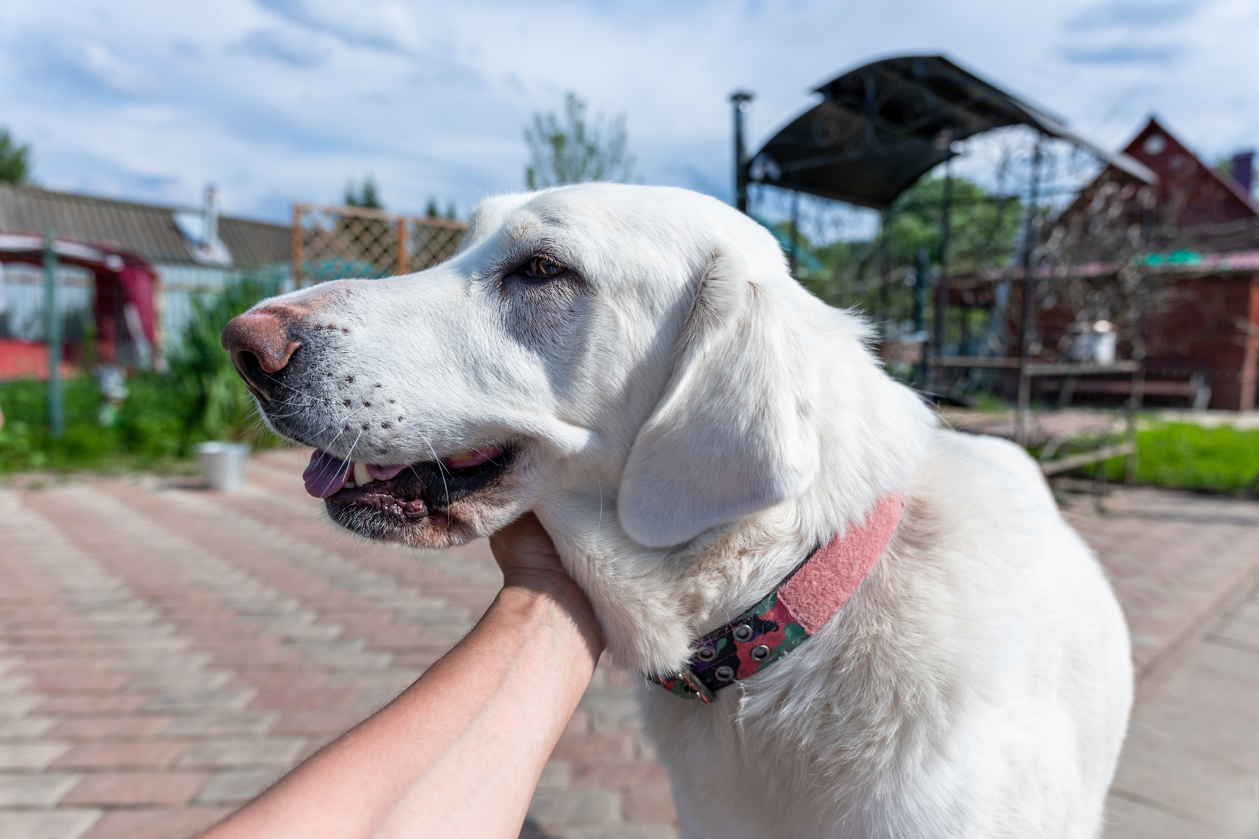 Priyut-gostinica. Professional photographer Alexey Nikitin in Moscow