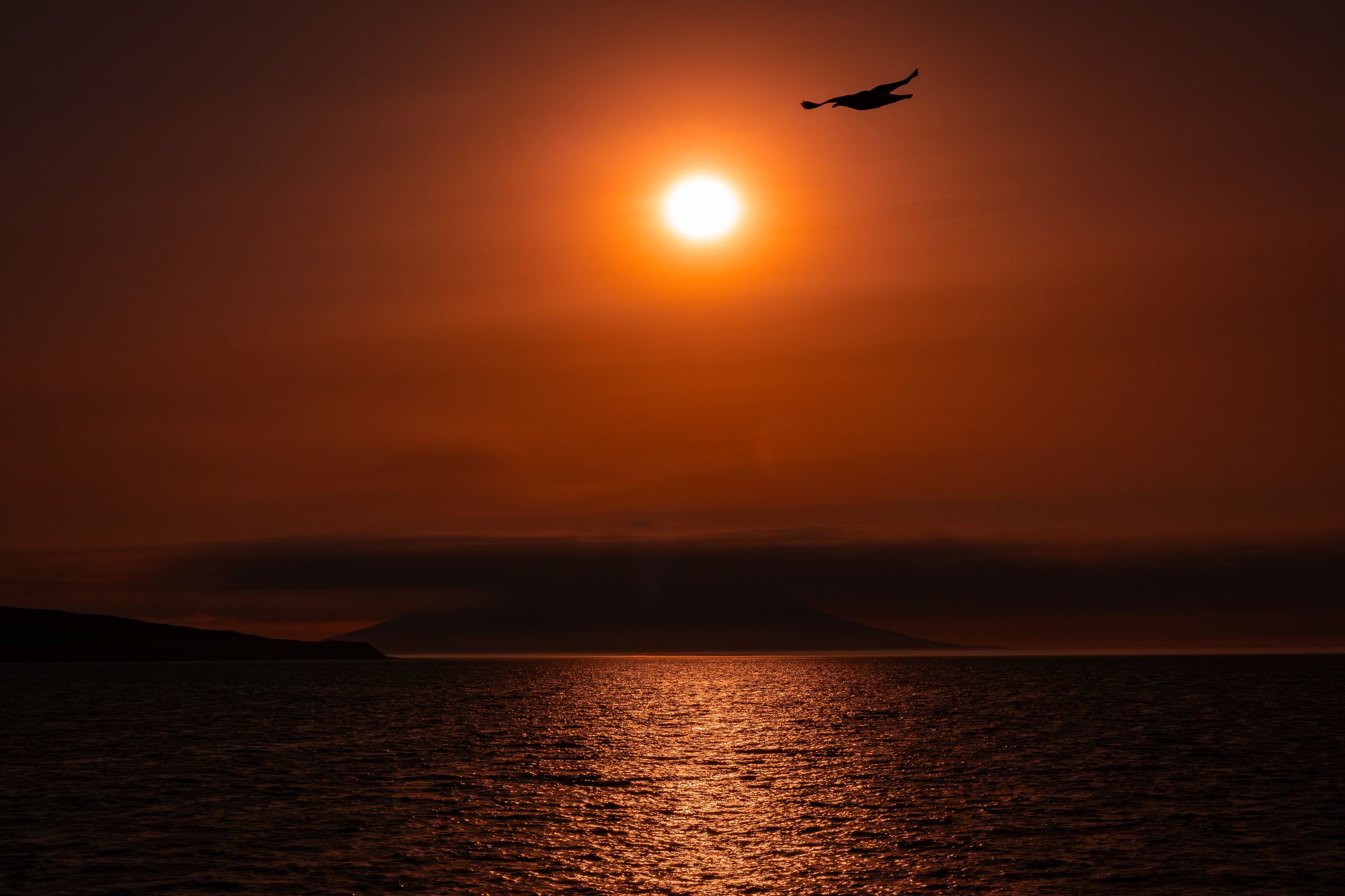 Остров Анциферова, Курильские острова