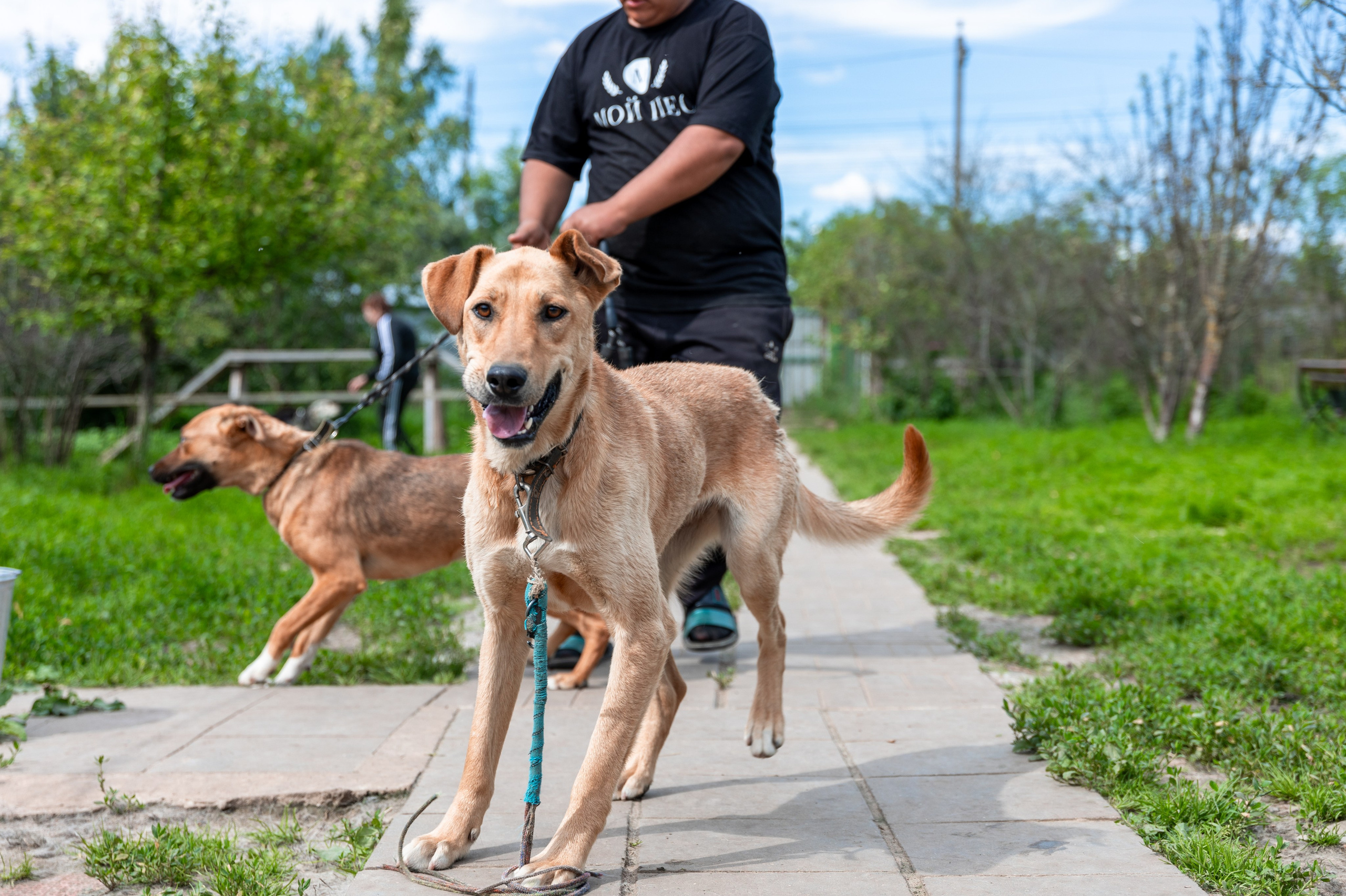 Priyut-gostinica. Professional photographer Alexey Nikitin in Moscow