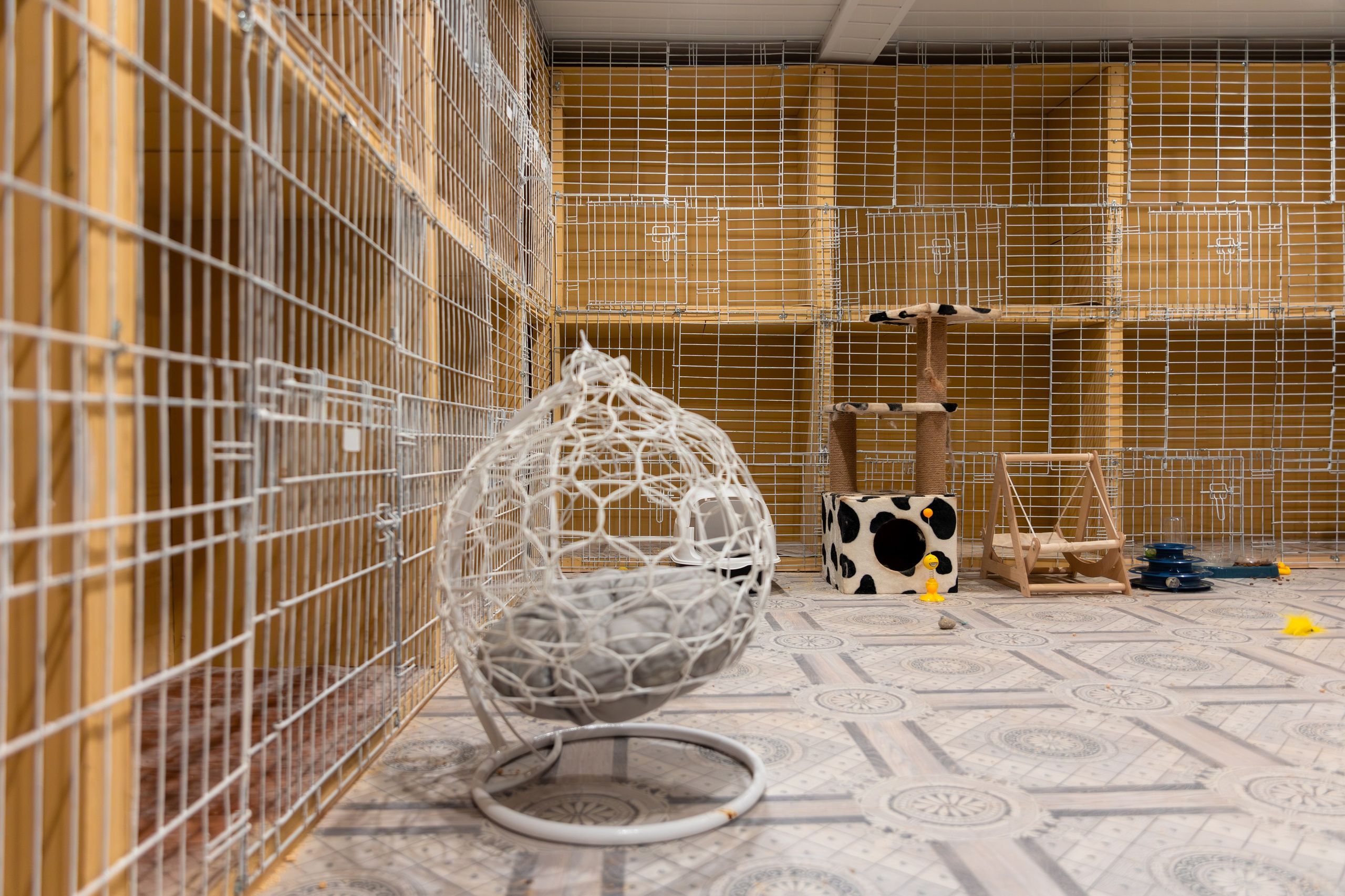 Priyut-gostinica. Professional photographer Alexey Nikitin in Moscow