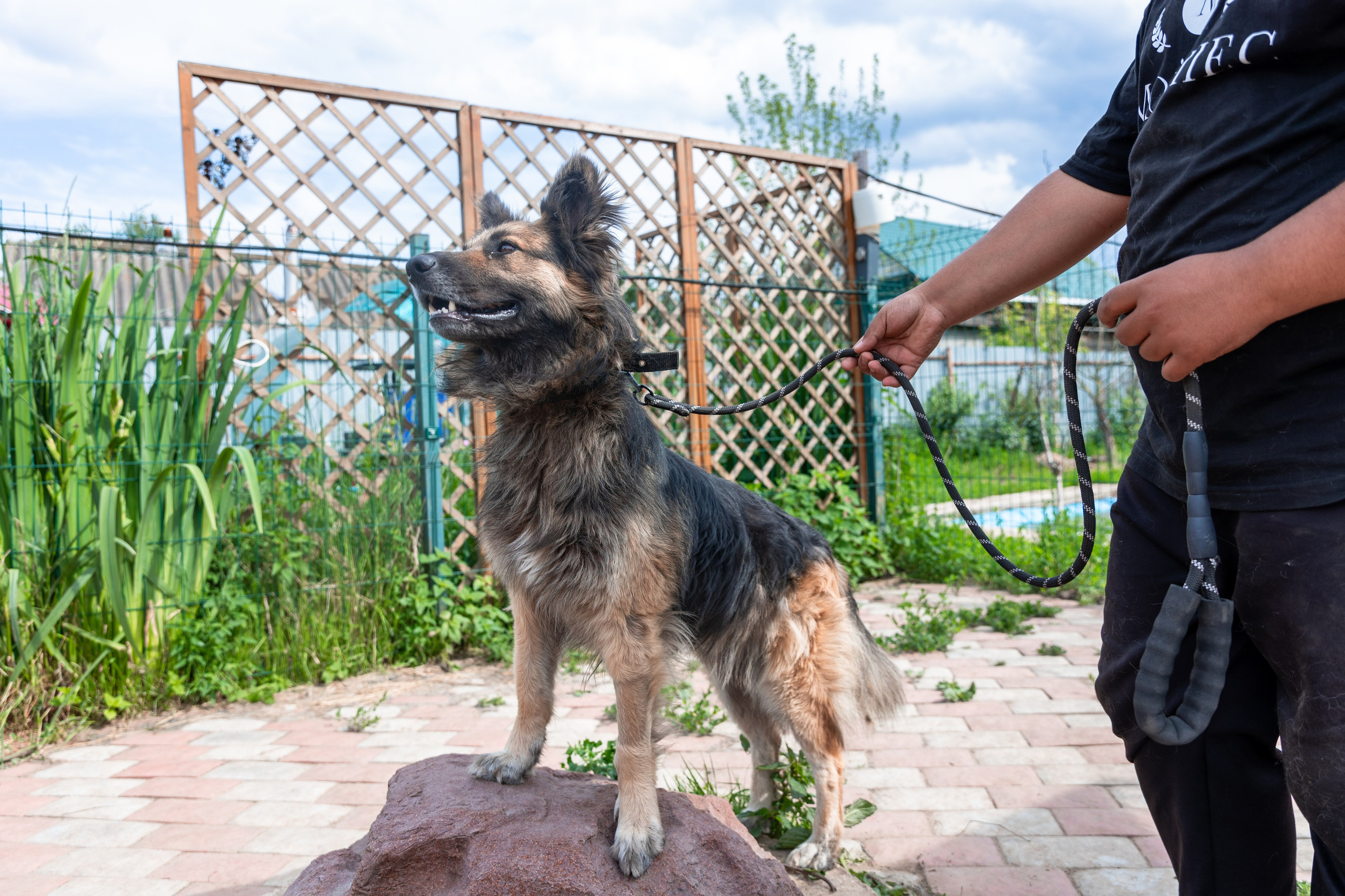 Priyut-gostinica. Professional photographer Alexey Nikitin in Moscow