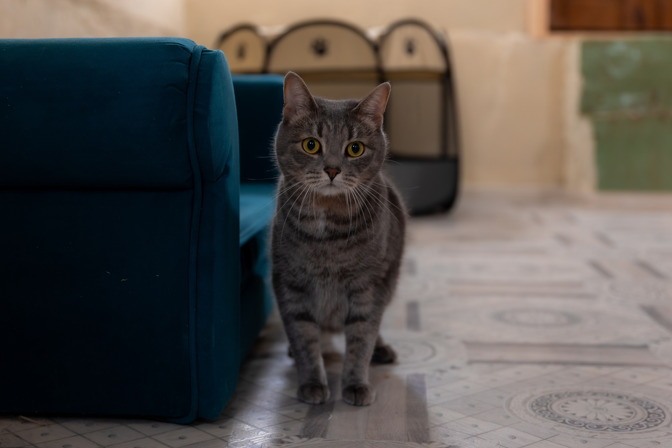 Priyut-gostinica. Professional photographer Alexey Nikitin in Moscow