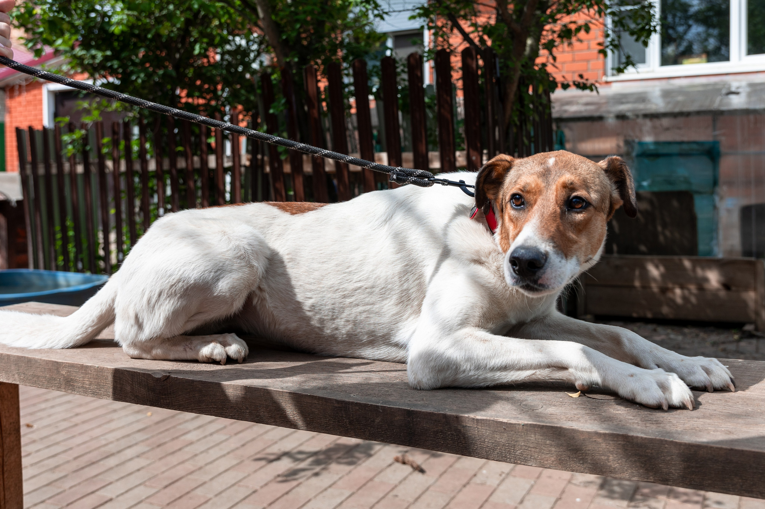 Priyut-gostinica. Professional photographer Alexey Nikitin in Moscow