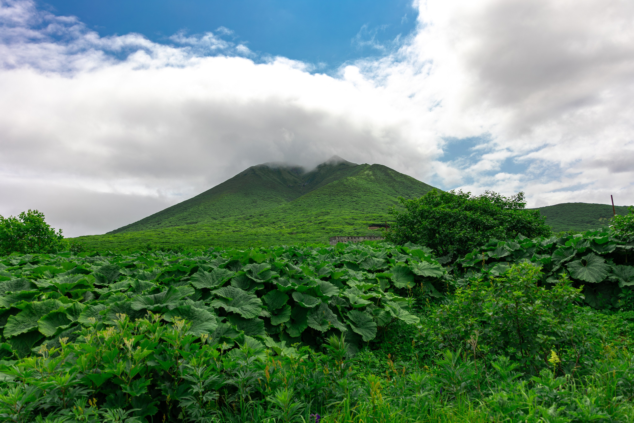 Курильские острова, Симушир