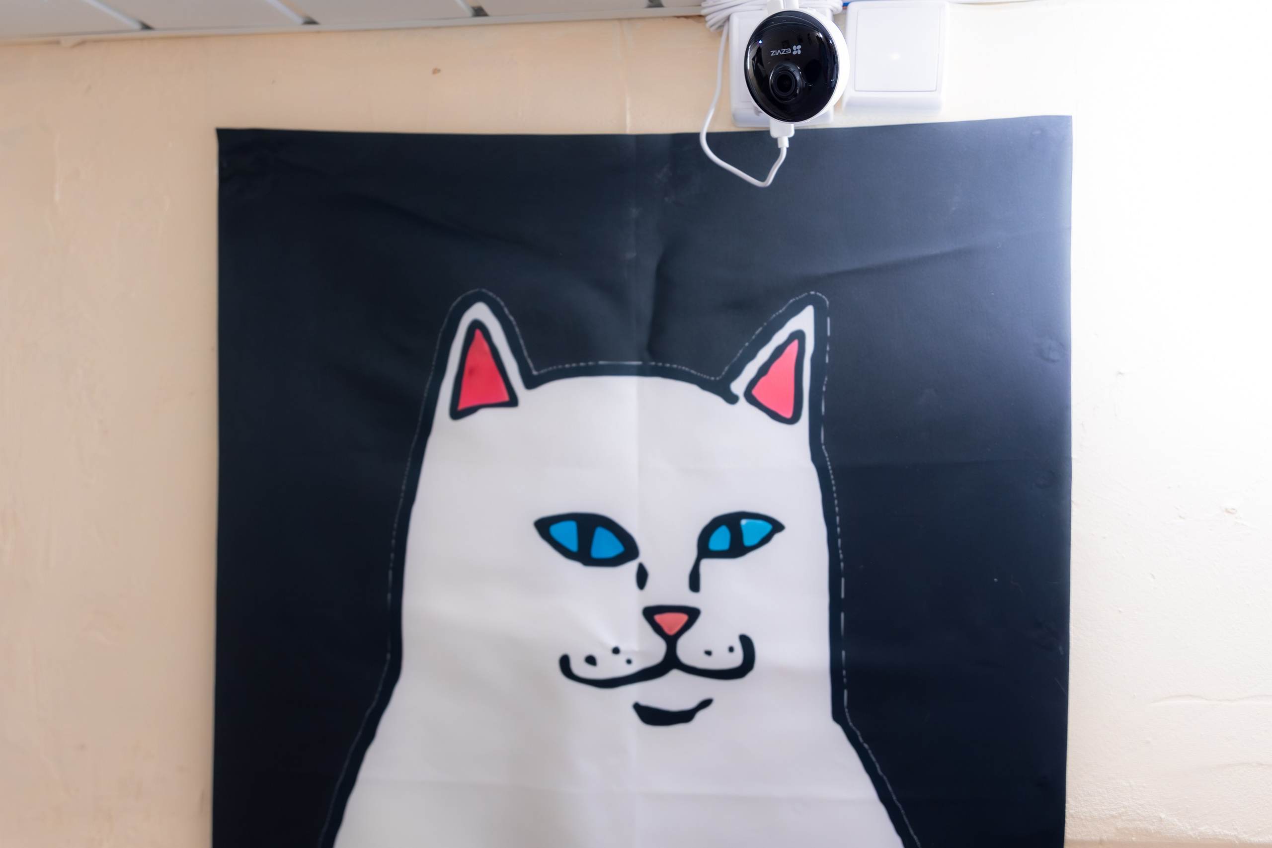 Priyut-gostinica. Professional photographer Alexey Nikitin in Moscow