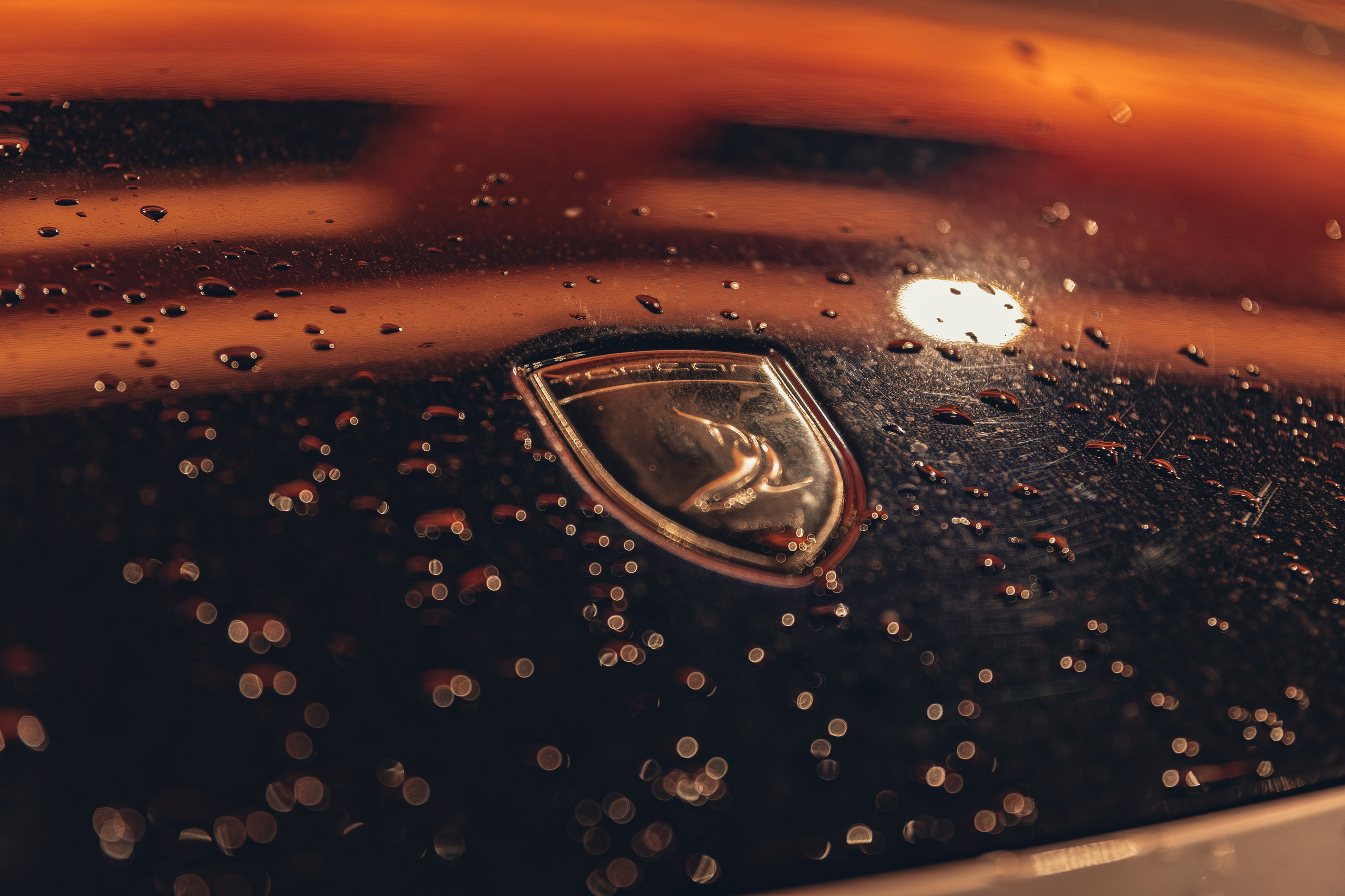 Логотип на Порше 911