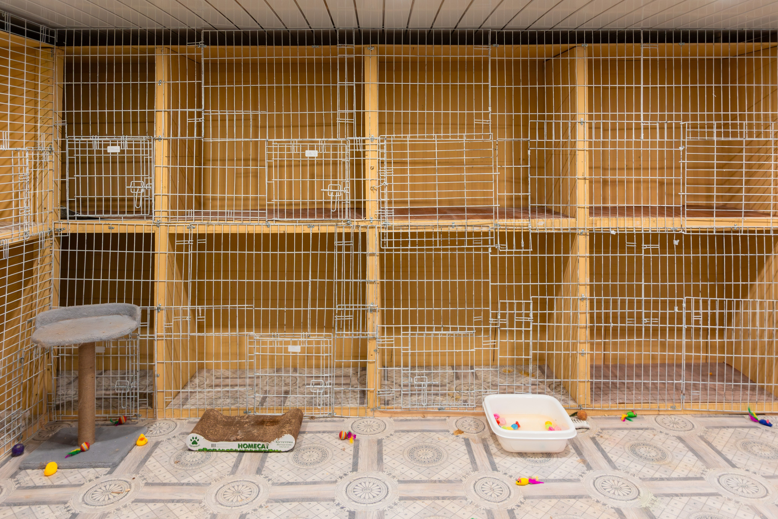 Priyut-gostinica. Professional photographer Alexey Nikitin in Moscow