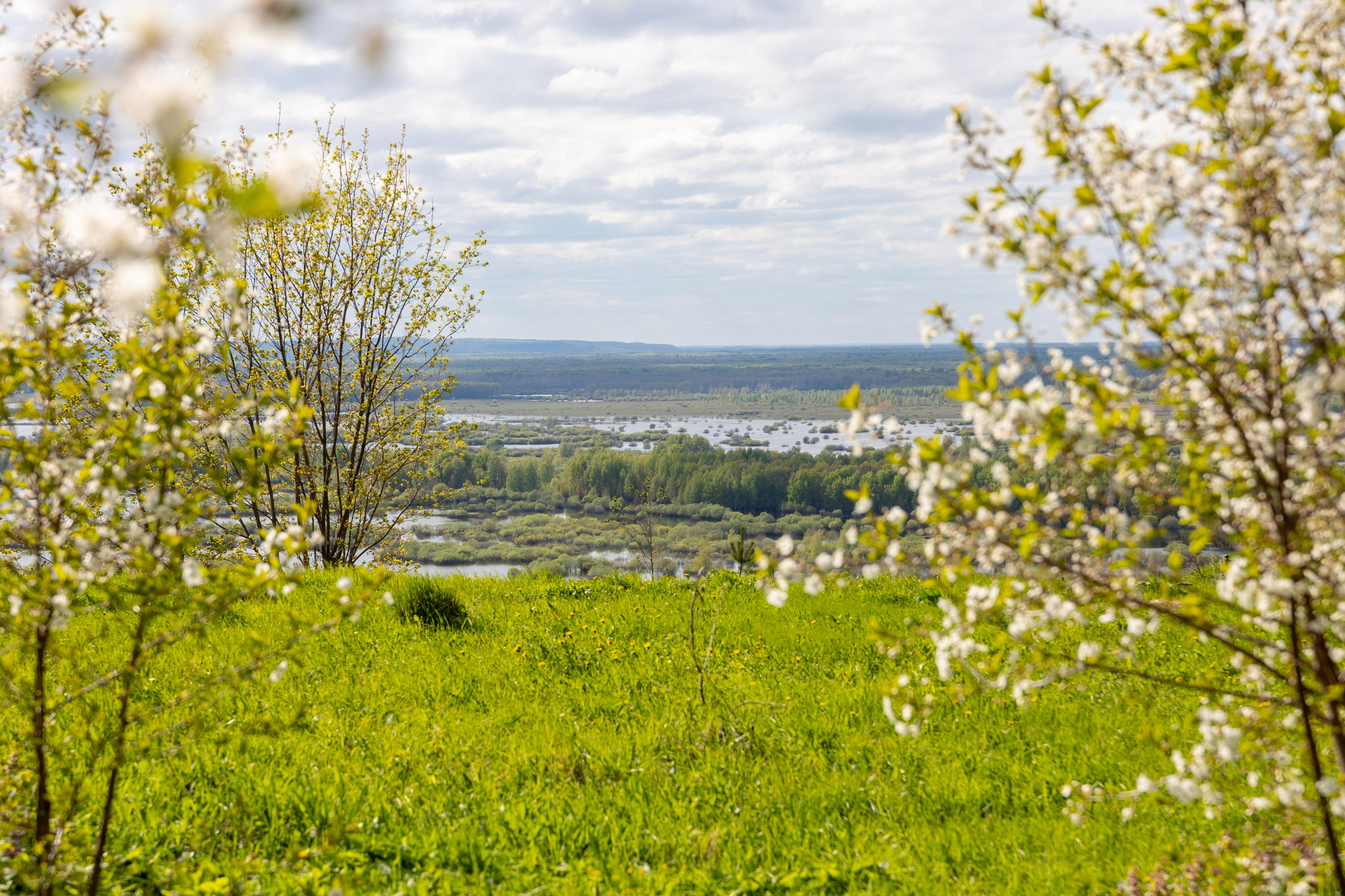 Gorokhovec city. Professional photographer Alexey Nikitin in Moscow