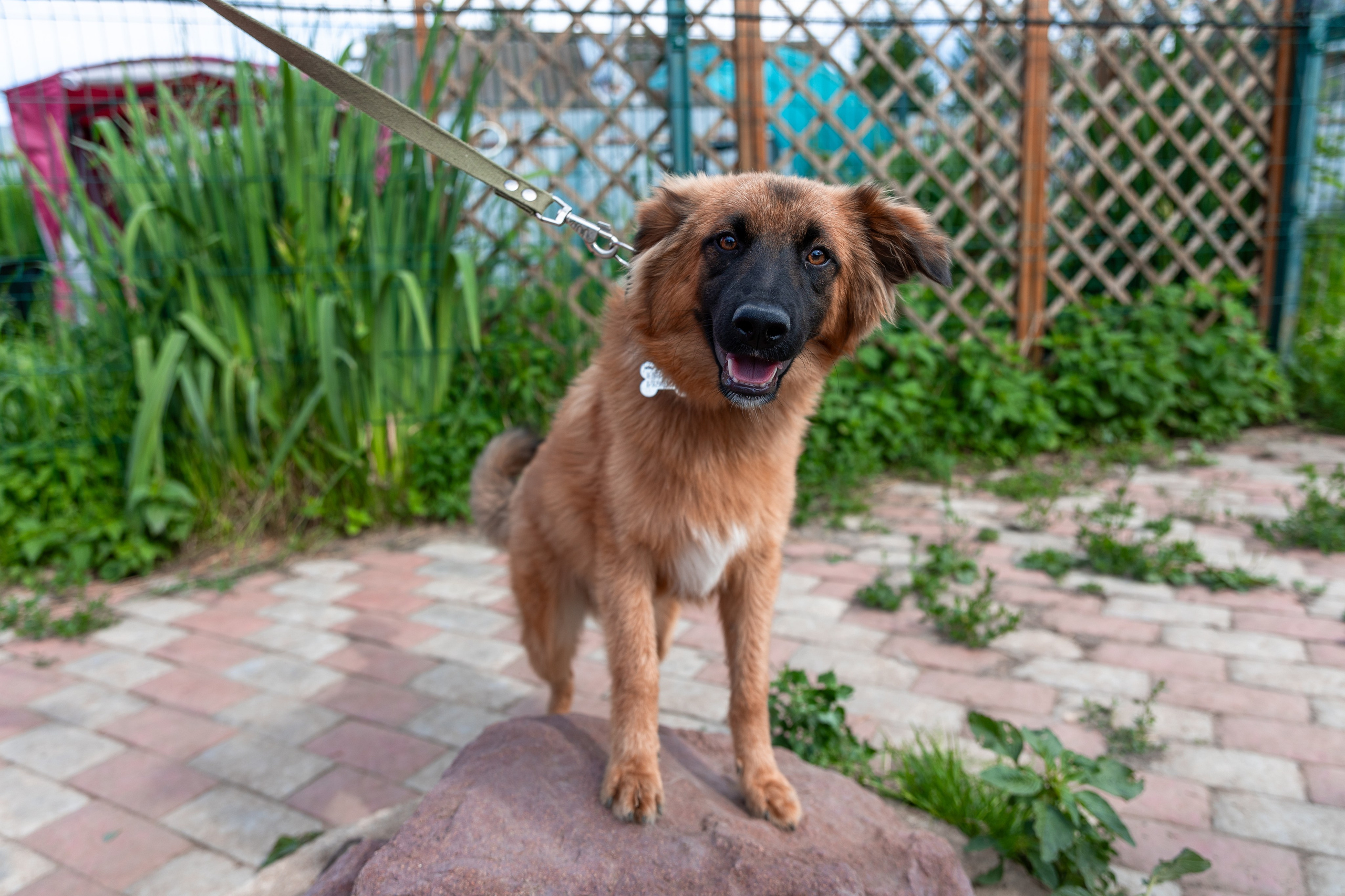 Priyut-gostinica. Professional photographer Alexey Nikitin in Moscow