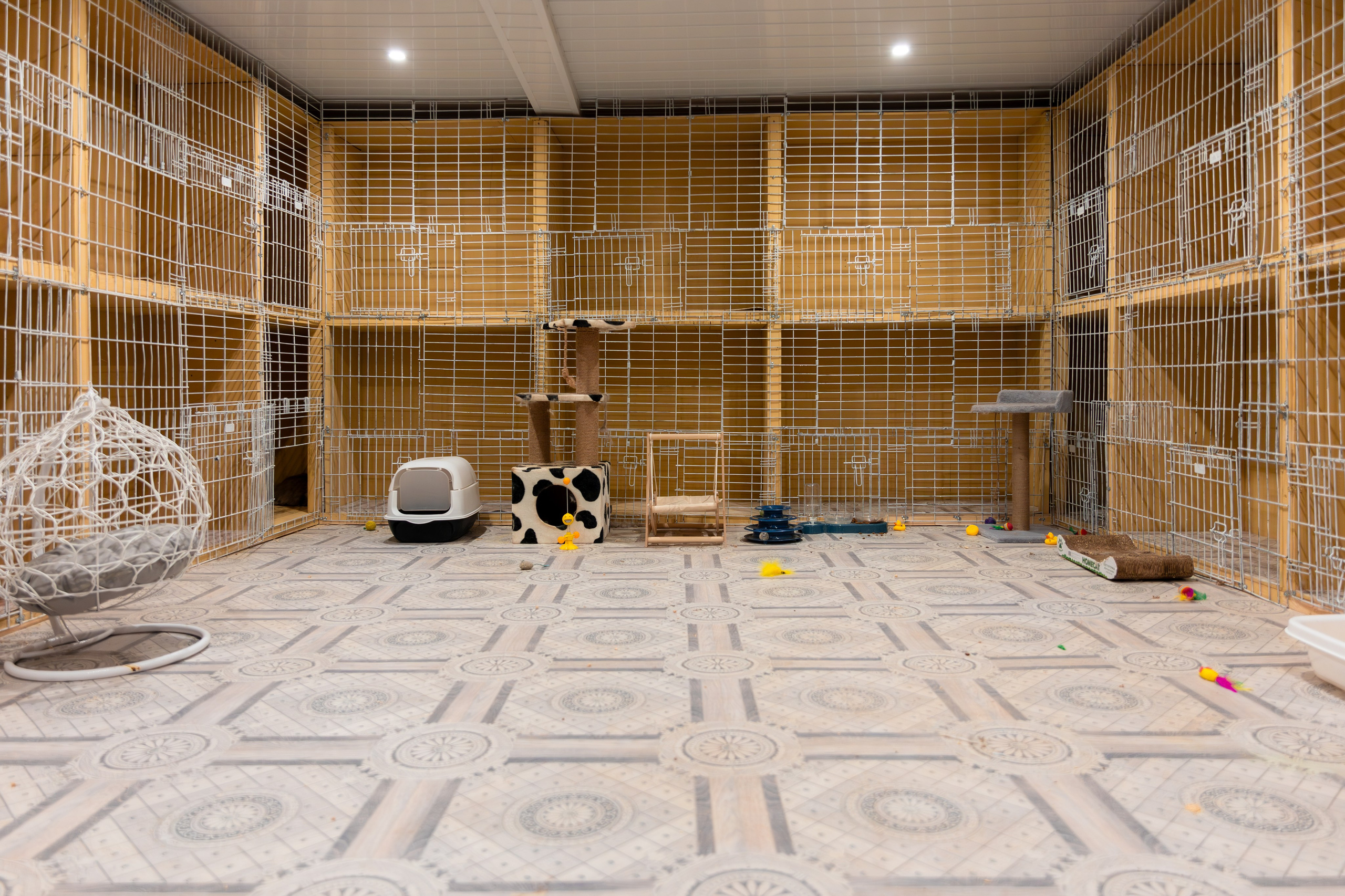 Priyut-gostinica. Professional photographer Alexey Nikitin in Moscow