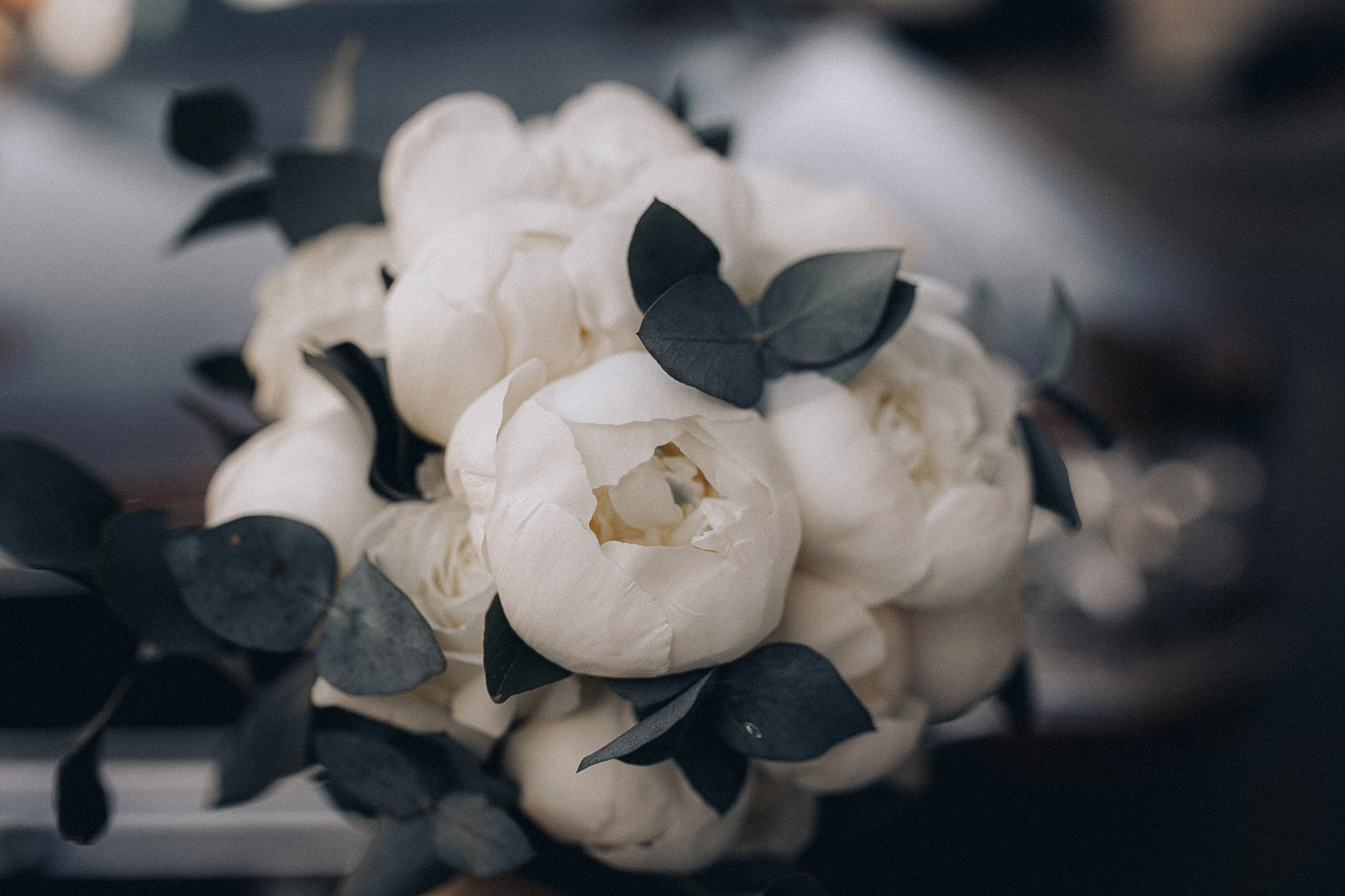 Услуги. Свадебный и семейный фотограф в Краснодаре Оксана Блейле