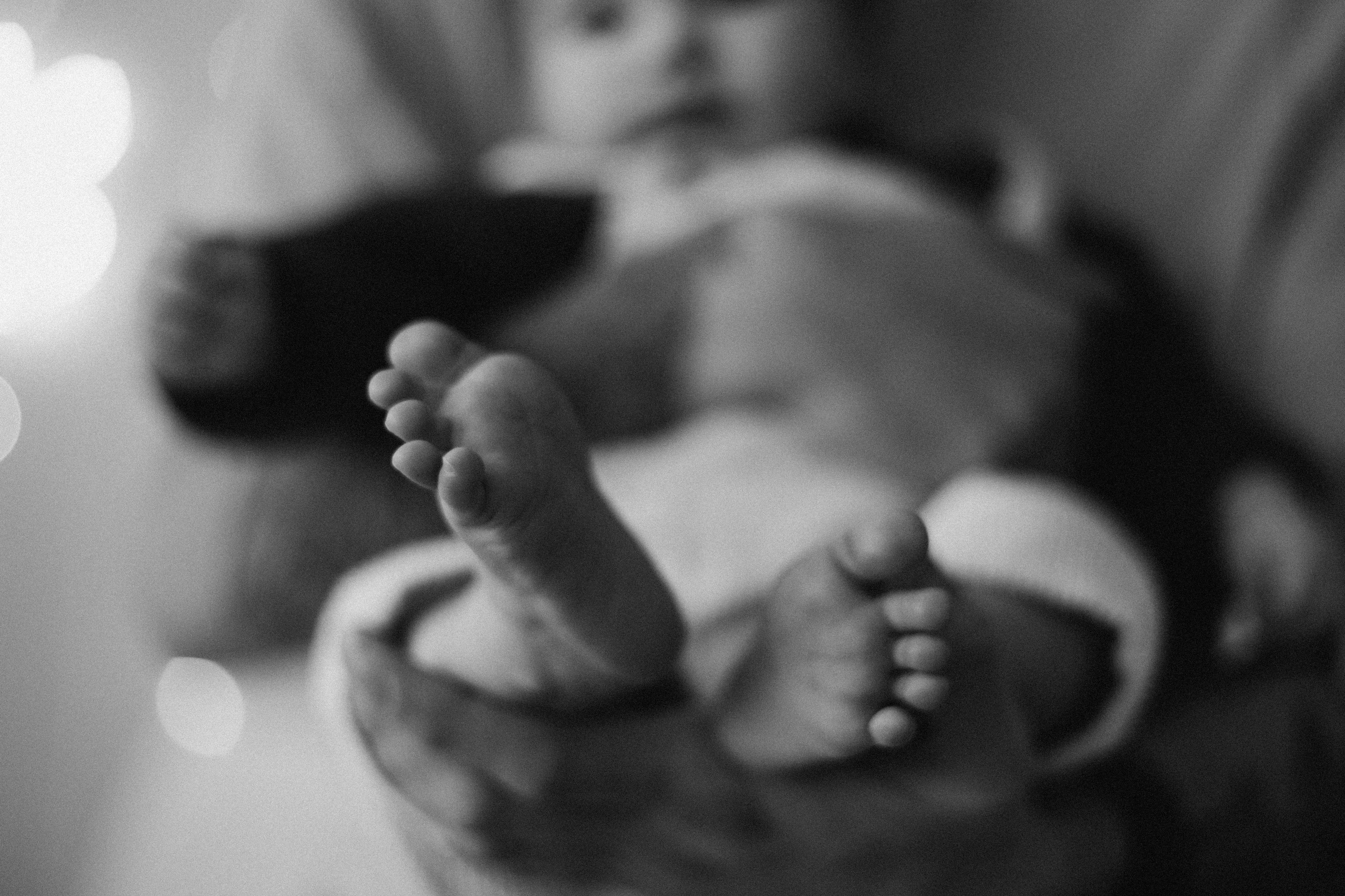 Услуги. Семейный фотограф в Красноярске Екатерина Гайнутдинова