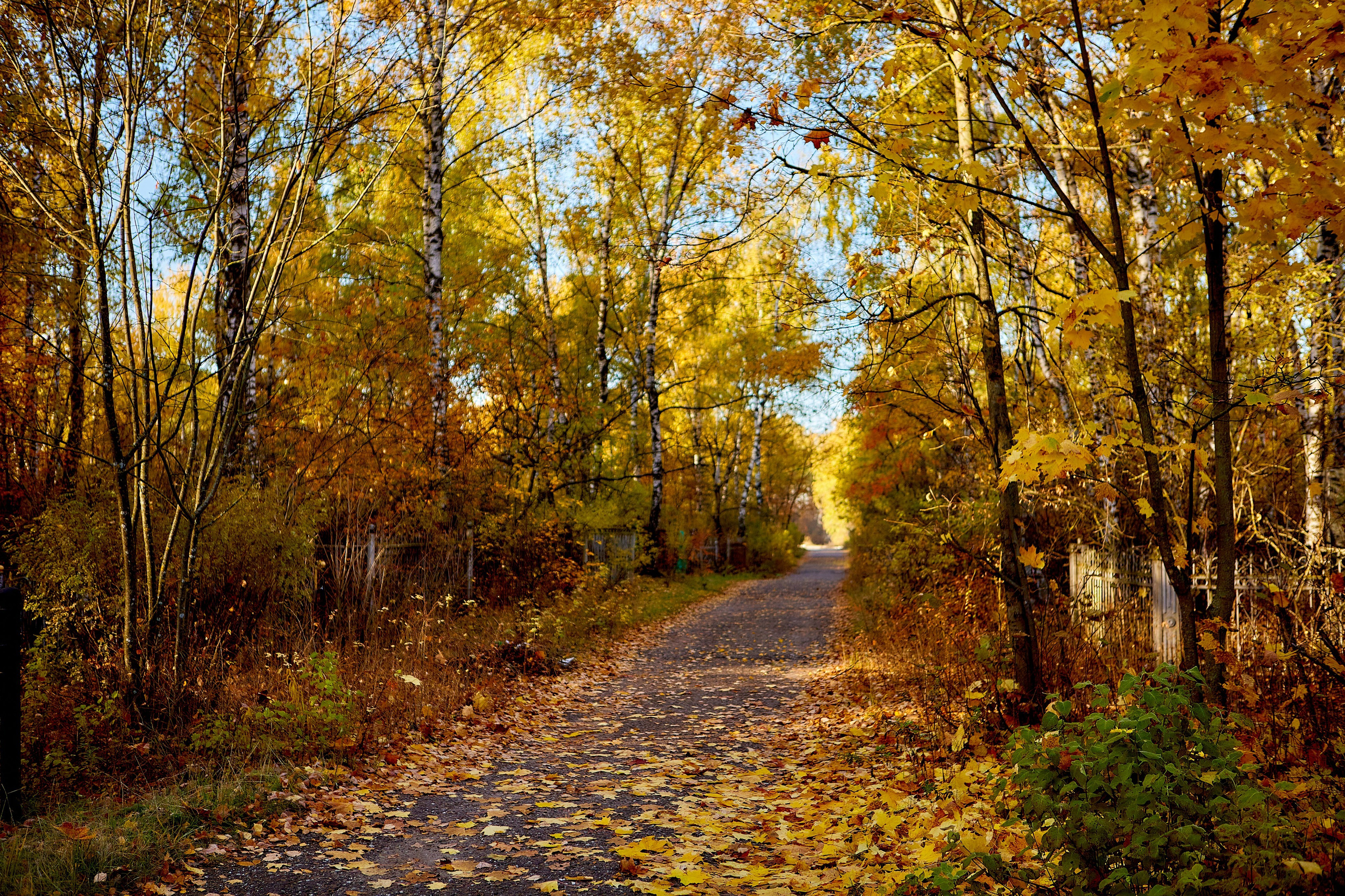 Фотографии Архитектуры и Пейзажи