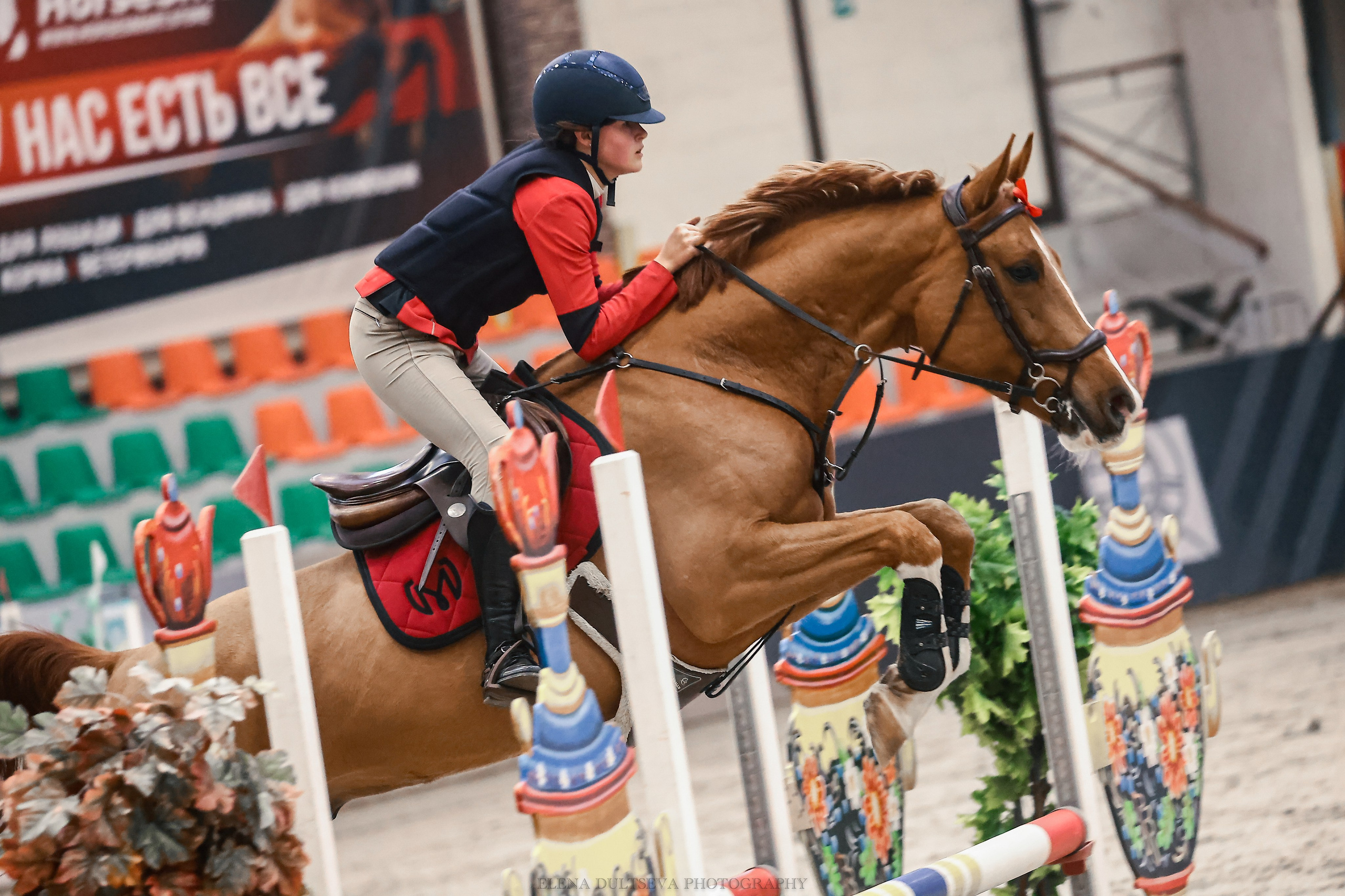 СТОИМОСТЬ ФОТО С ТУРНИРОВ. Конный фотограф Елена Дульцева