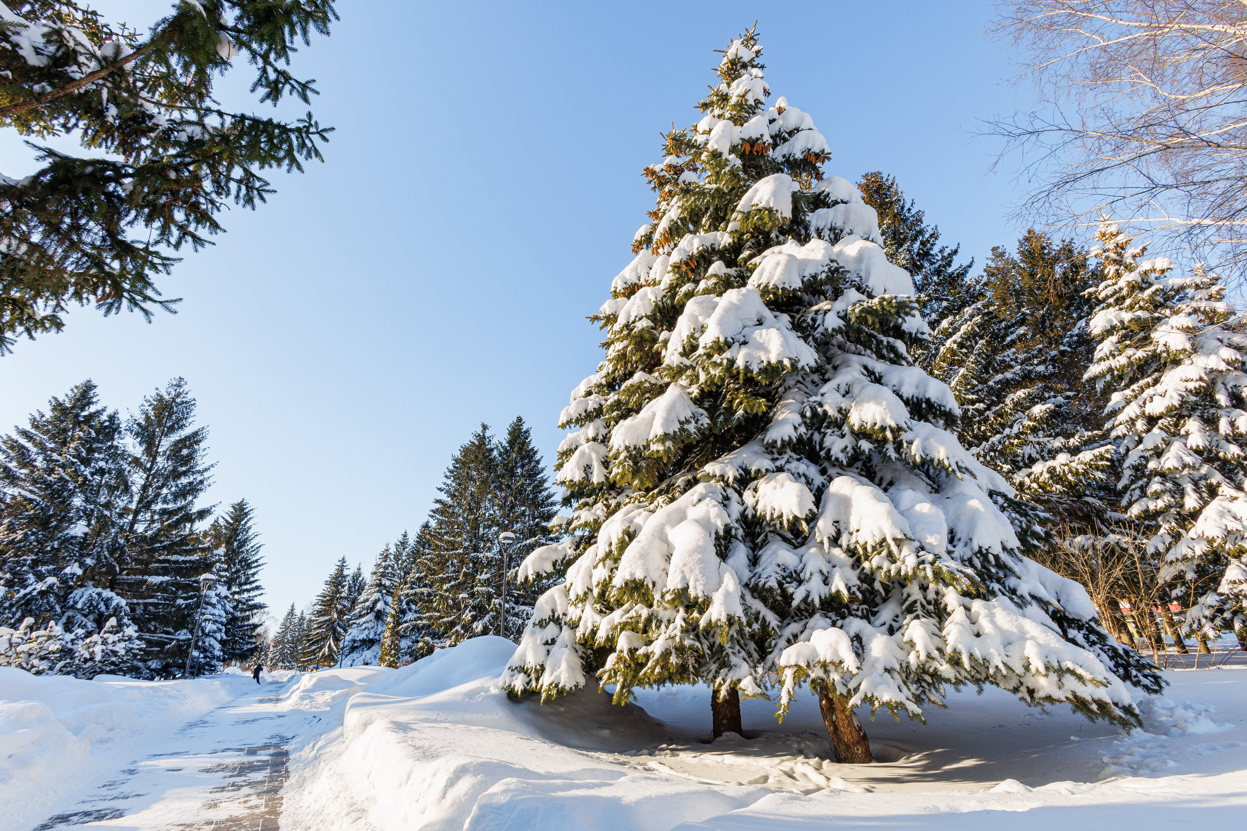 Фотограф в Нижнекамске