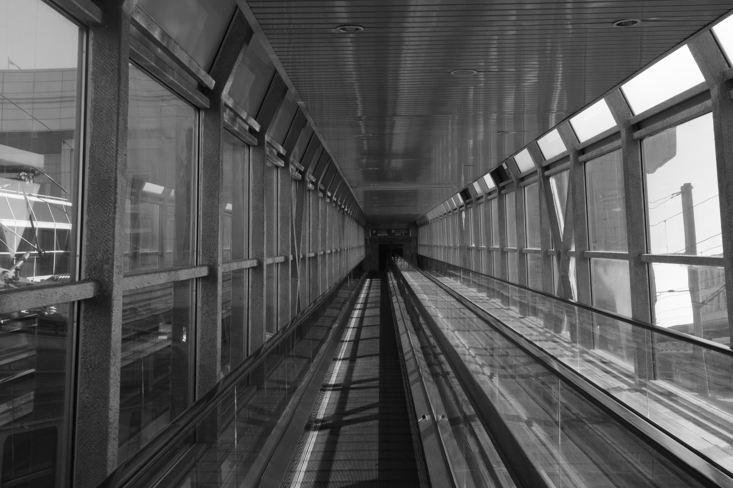 Круг жизни. Пылина Ирина — современная фотография