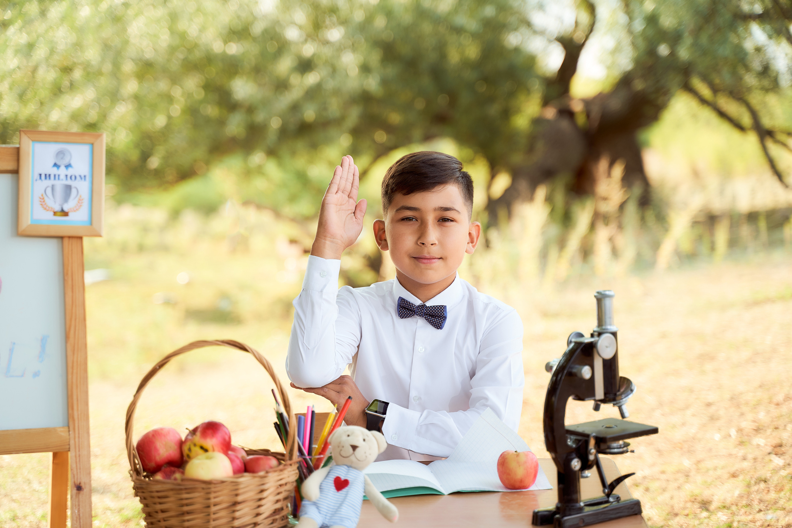 Альбомы для первых и четвертых классов. Начальная школа. Школьный фотограф в Уральске, студия | Классный Школьный Альбом