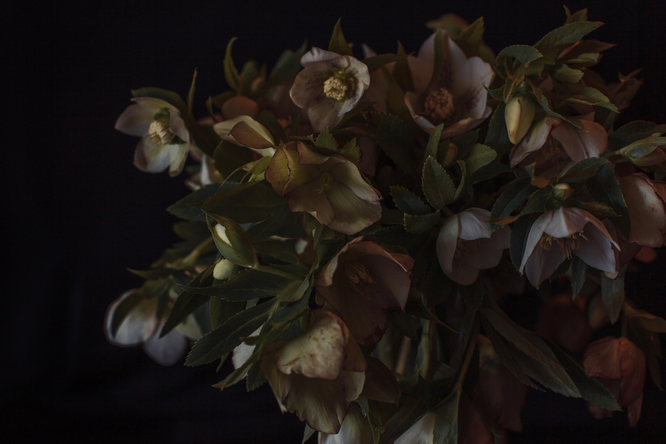 Price. Katya Tyulyandina