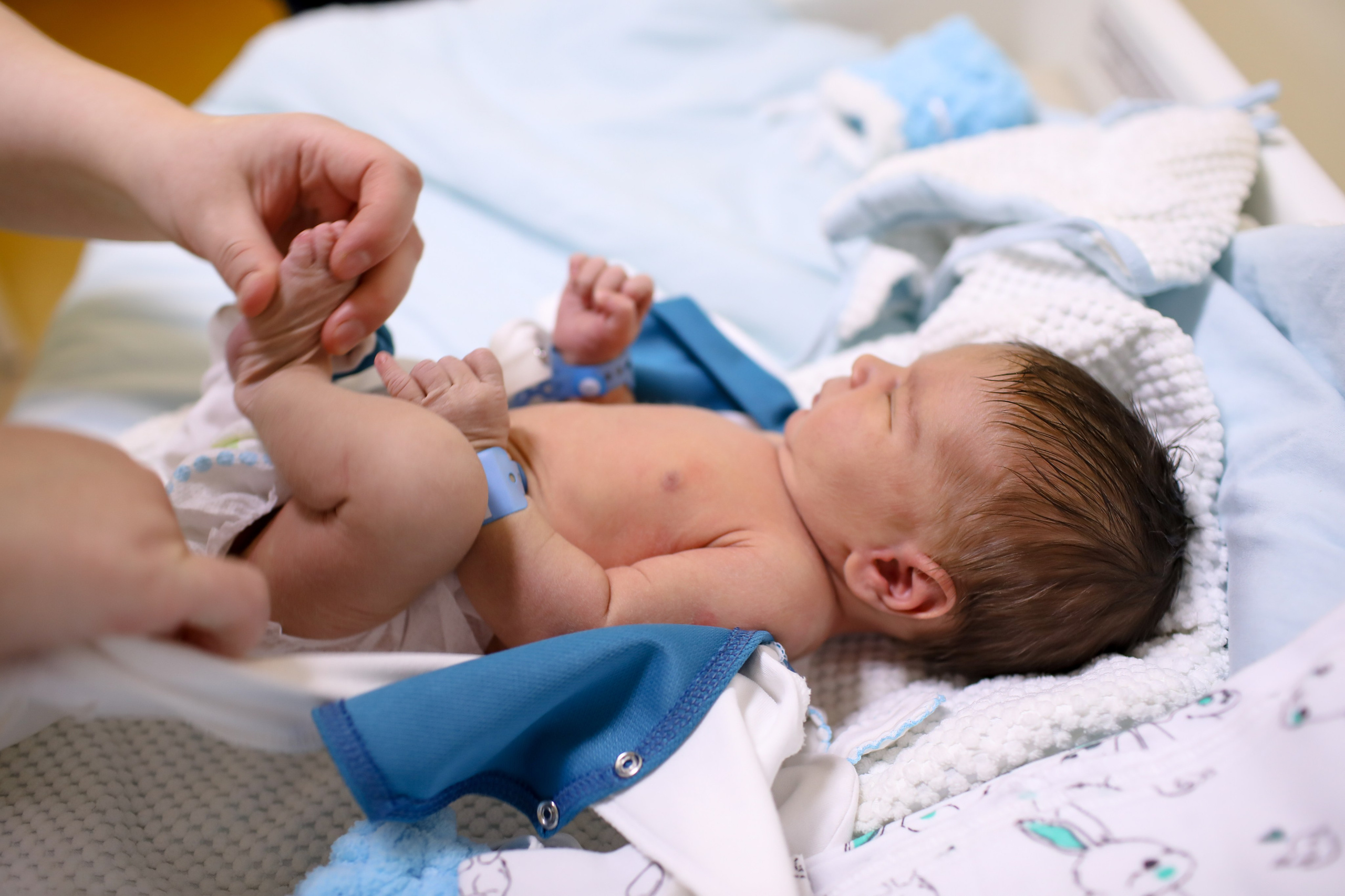 Услуги. Нина Зеленева фотограф новорожденных