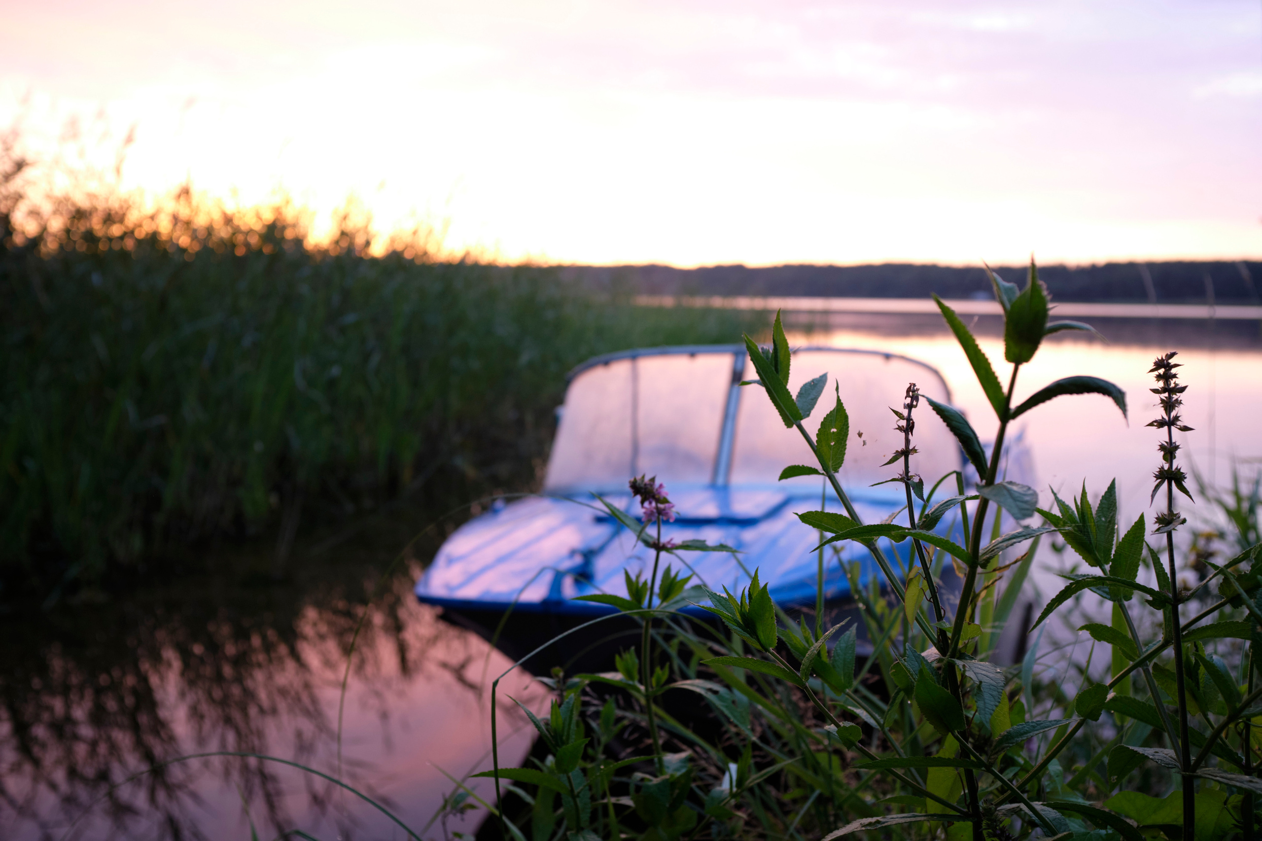 Поездка на Низовку. Волга. Елена Павленко. Фотограф. Москва