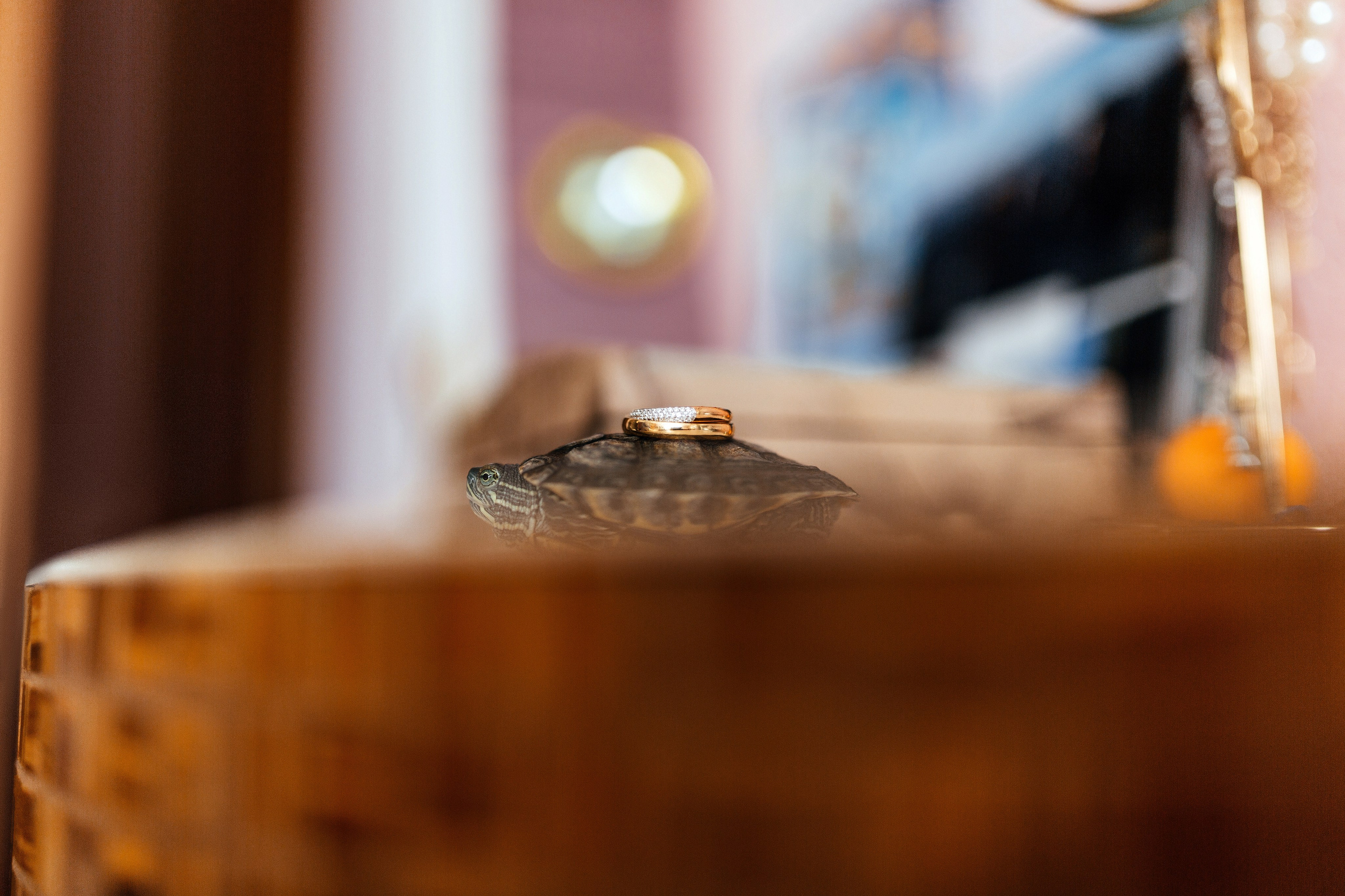 Свадебный фотограф делает кадры сборов невесты и жениха – фотография обручального кольца