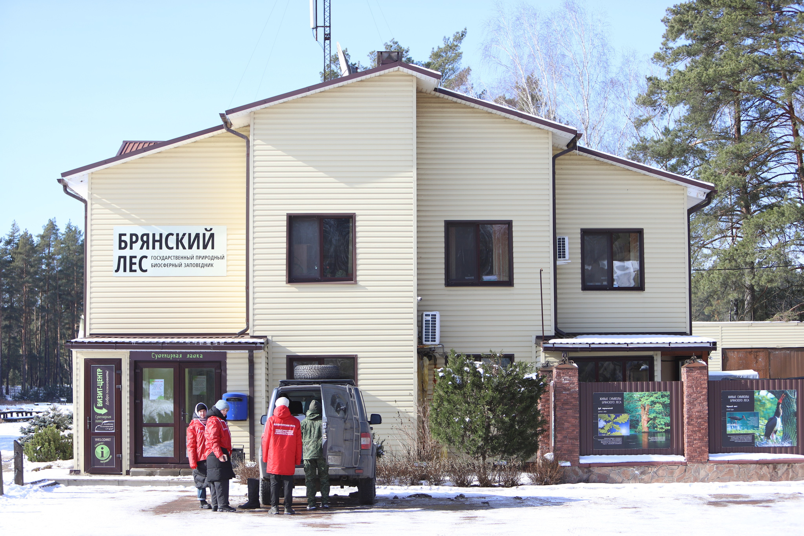 Брянский лес. «Книжка с картинками» Фотограф Наталья Цыбина
