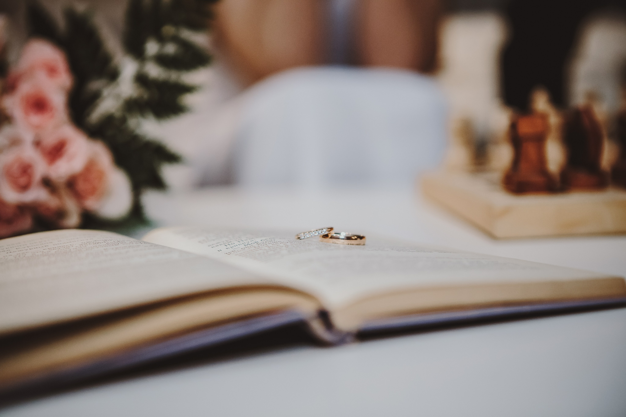 Фотограф Светлана Петрова