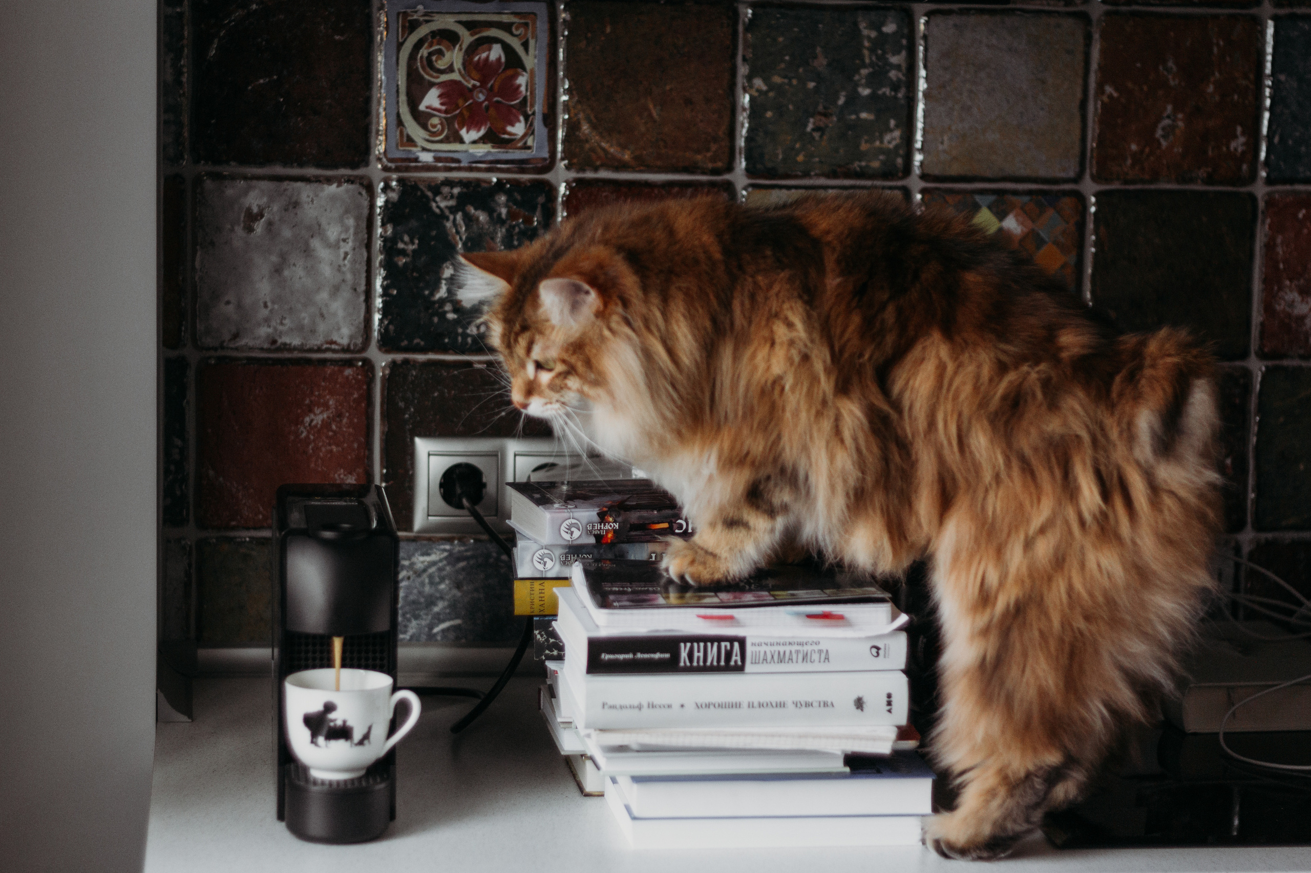 Семейные фотосессии. Семейный фотограф в Москве и Новой Москве Ольга Смирнова