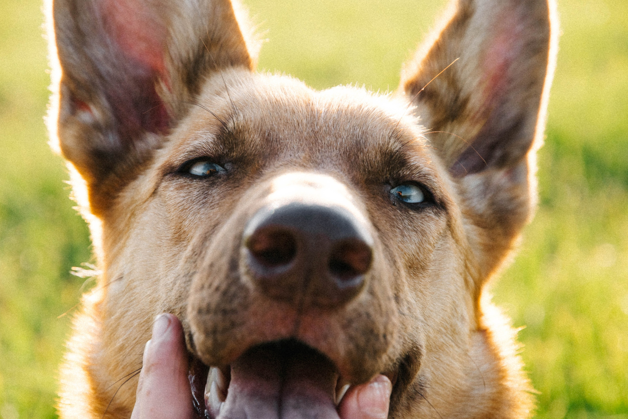 Семейная фотосессия